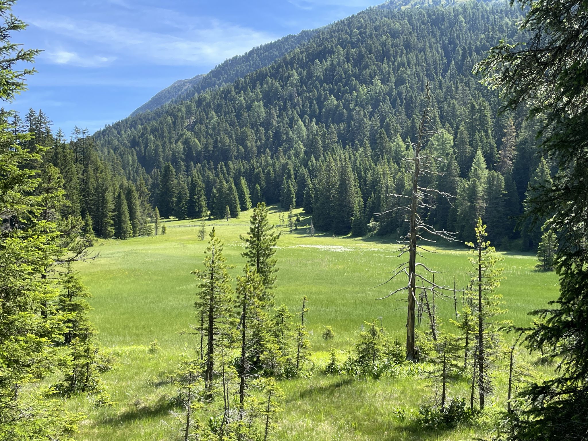 Görfen Moor 