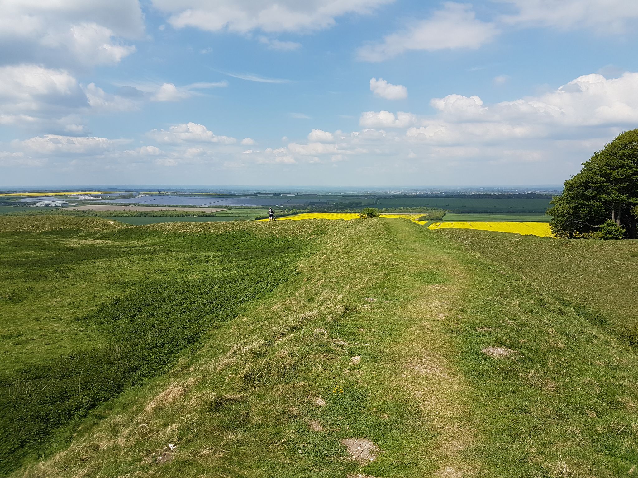View from Barbury Castle