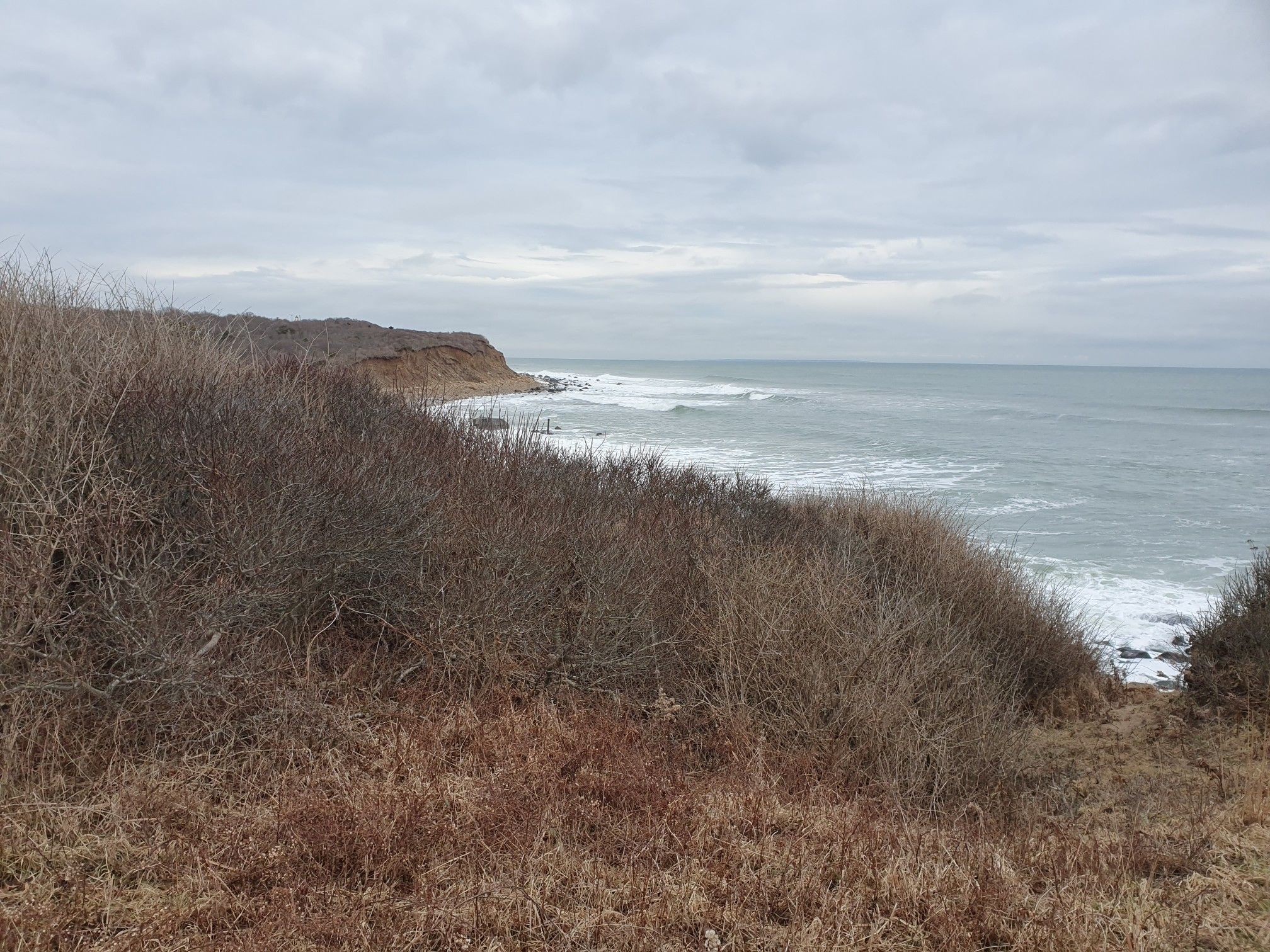 Overcast view of the ocean with waves, seen over dense brown coastal bushes. - Paumanok Path