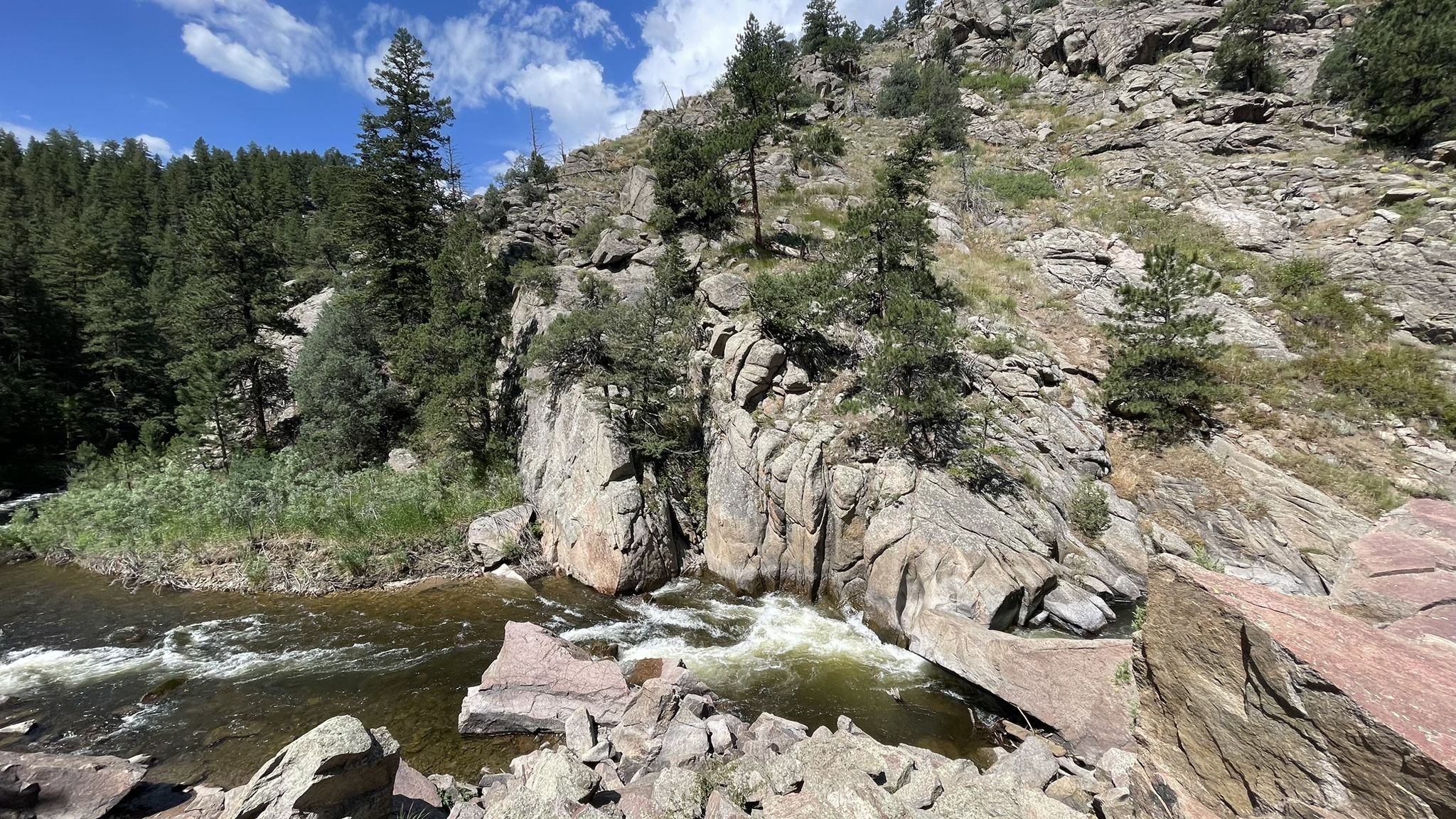 River rapids flow through a rocky canyon with pine trees under a bright sky. - Walker Ranch Loop