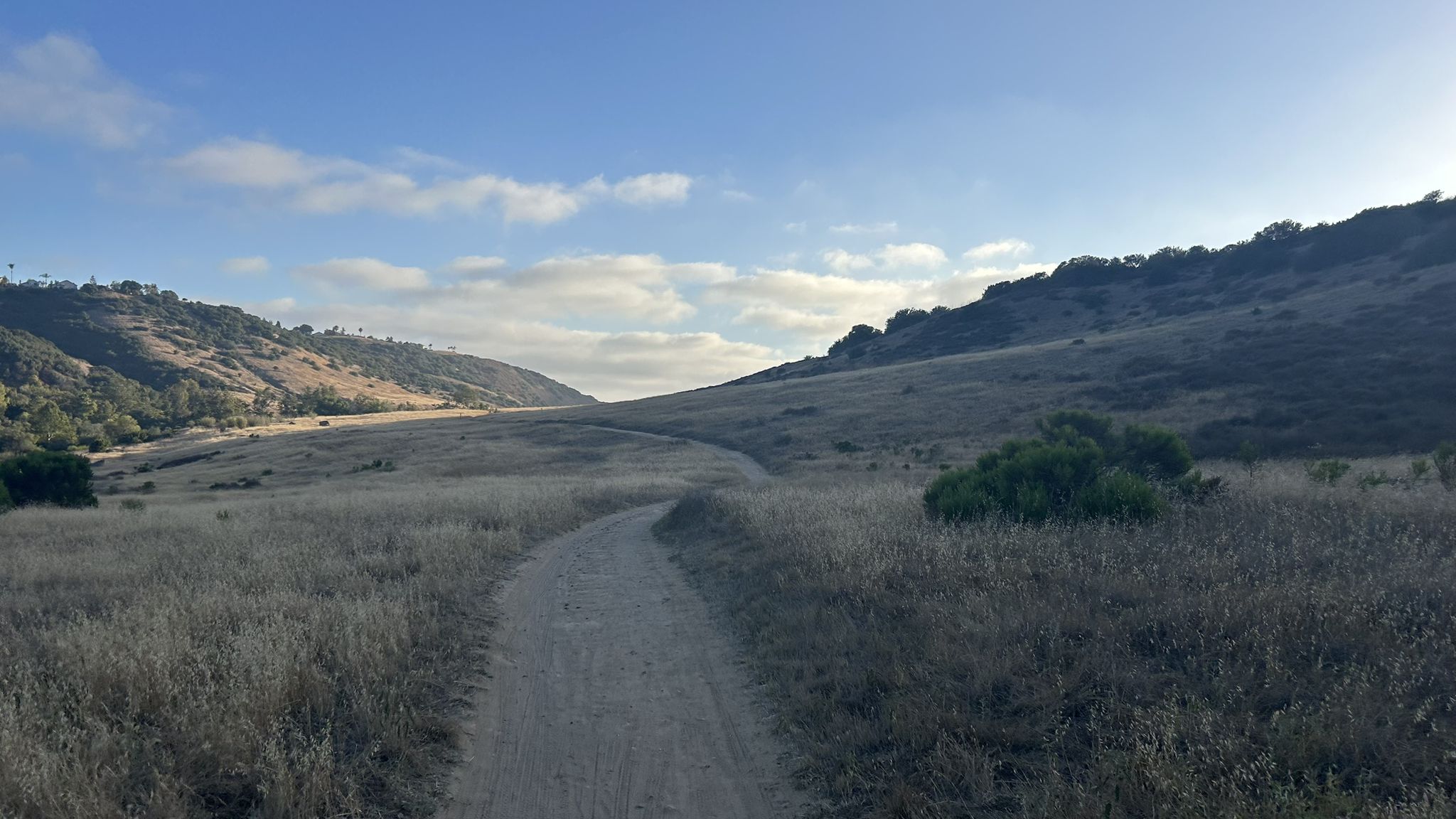 A dirt road winds through a wide, grassy valley under a cloudy sky. - Mountainbike loop from Del Mar Mesa Preserve