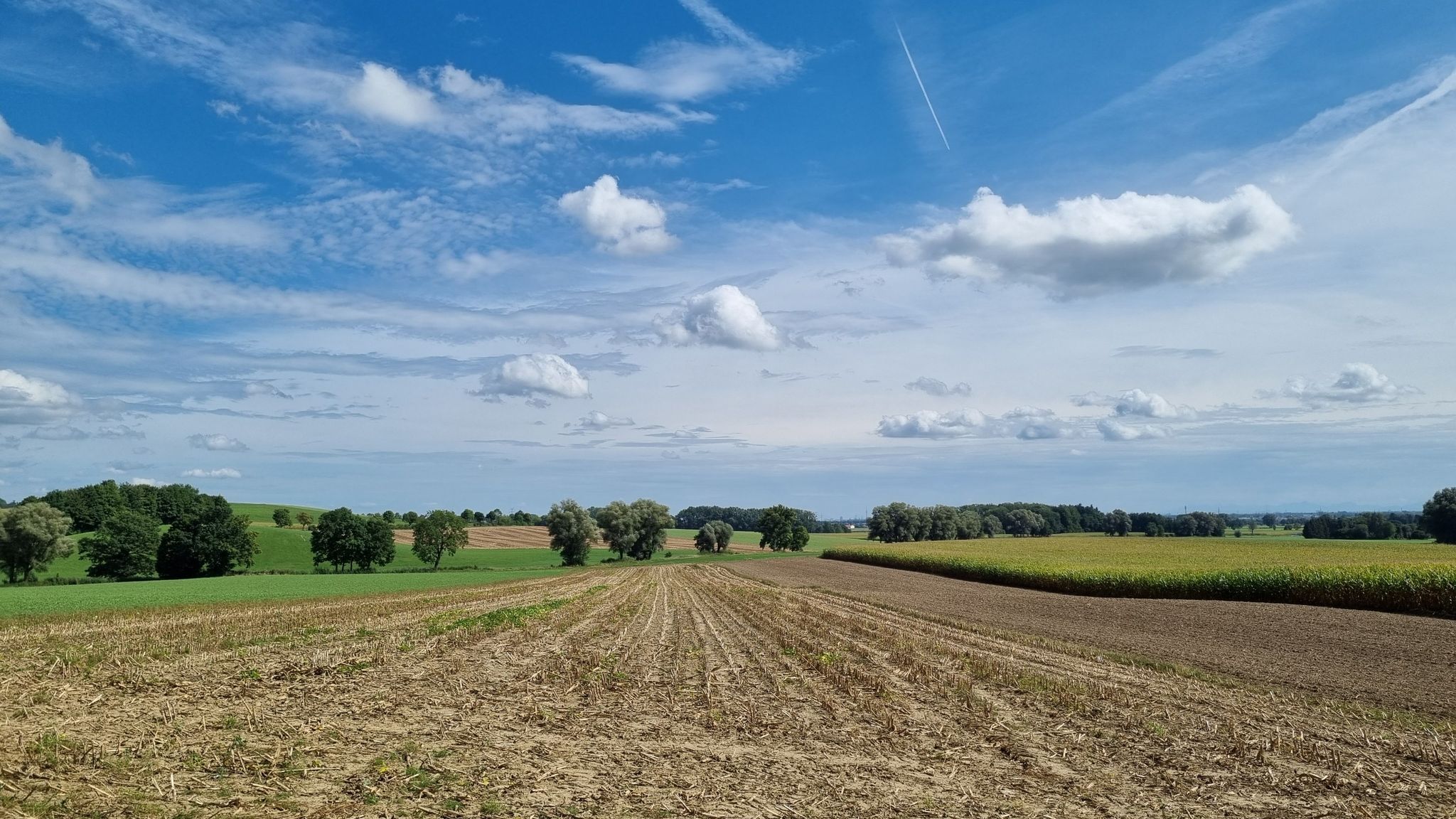 Himmel heute weiß-blau aber dunstig