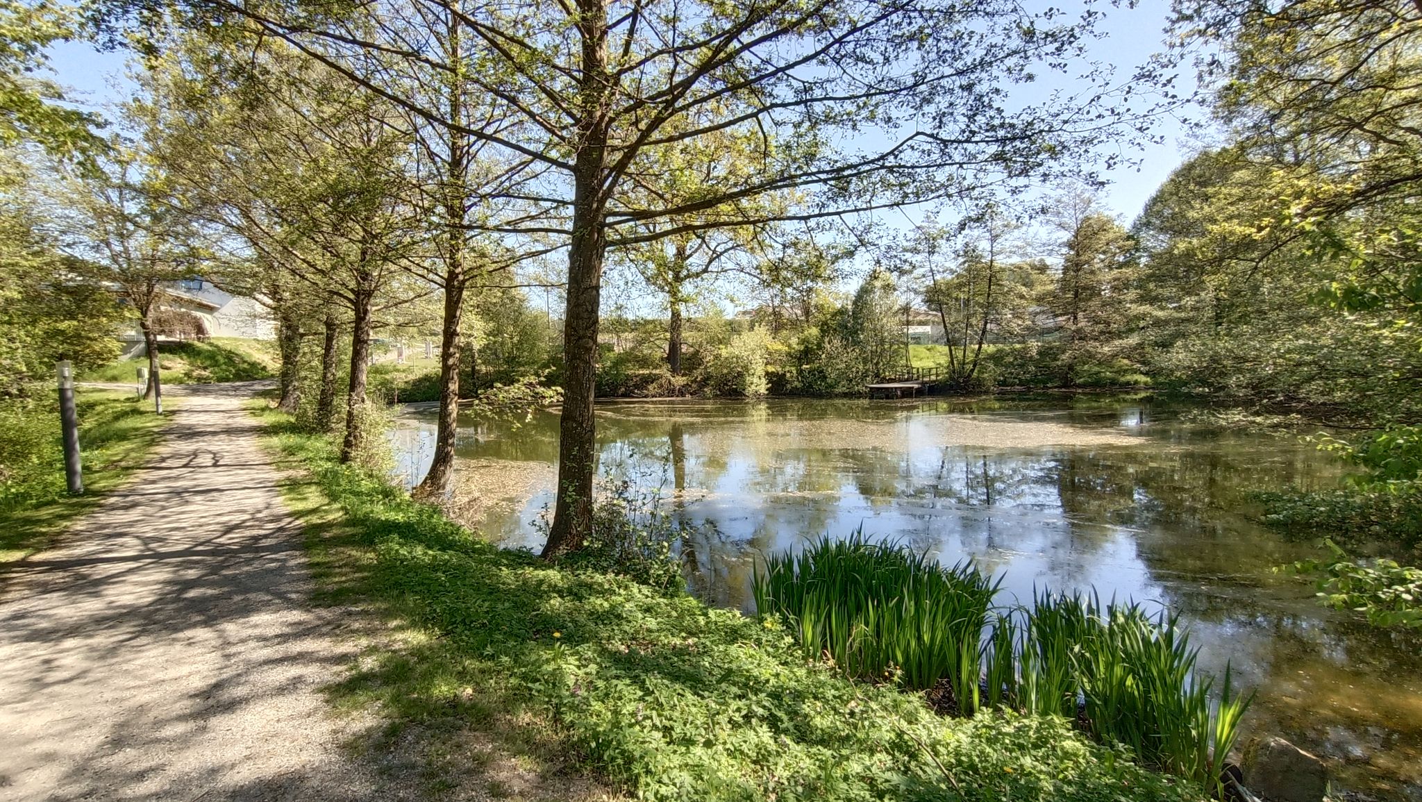 Hagenberger Teich