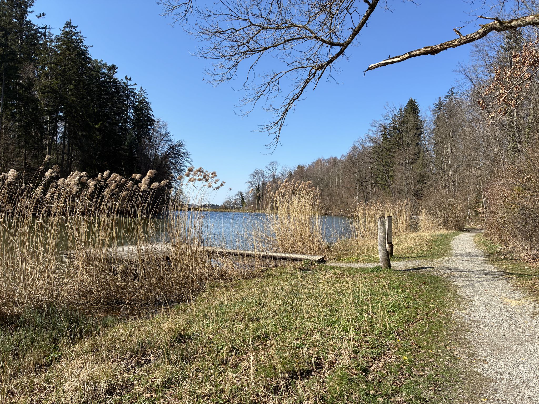 Staldenweiher