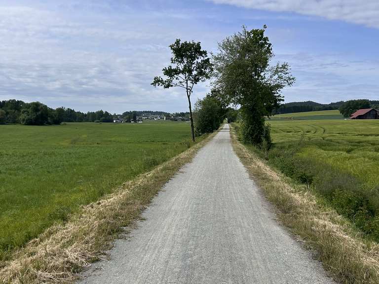 In'd Physio gradelt 🏋️‍♂️🚴🏼‍♂️💪 | E-Mountainbike-Tour | Komoot