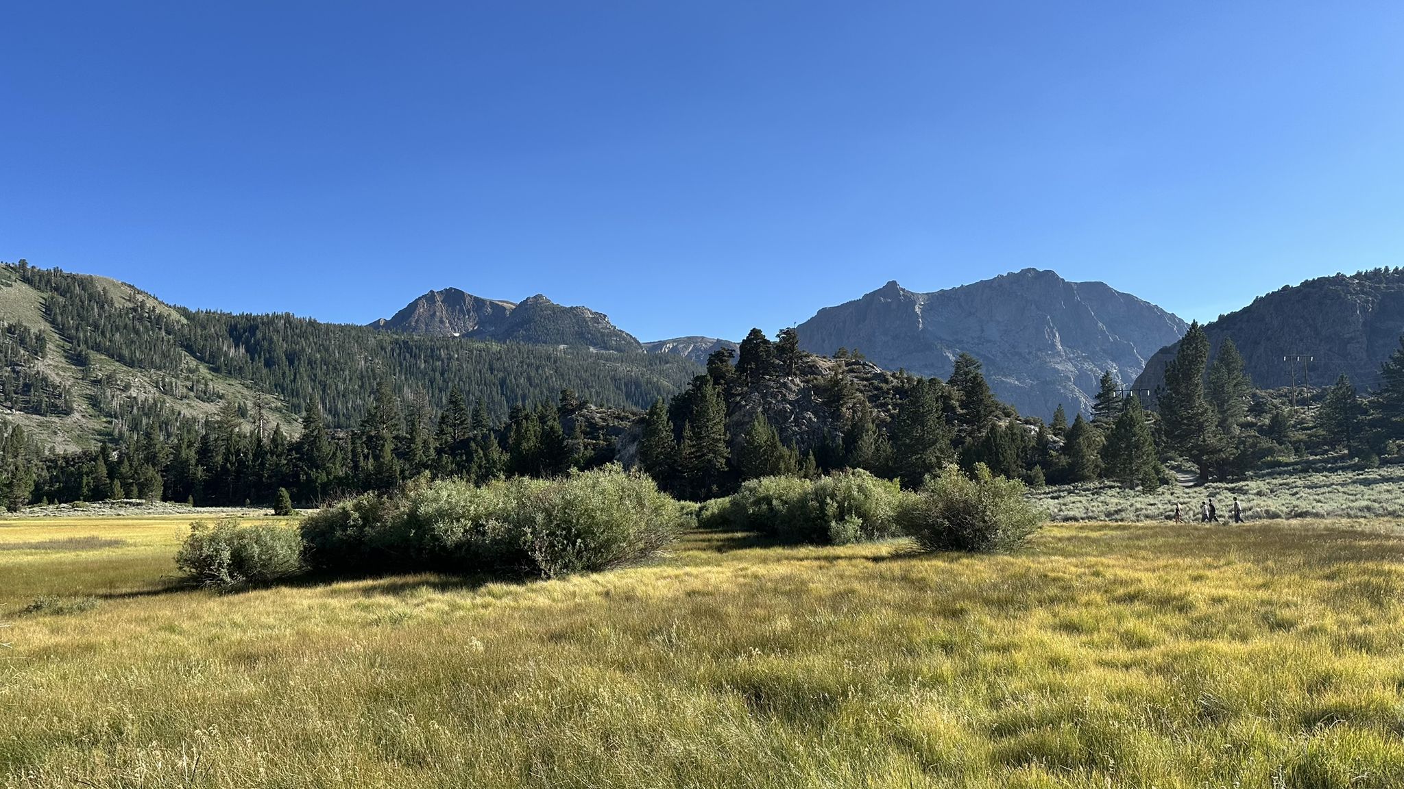 Bright day over a wide meadow with mountains and forests in the background. - Gull Lake – June Lake loop from June Lake