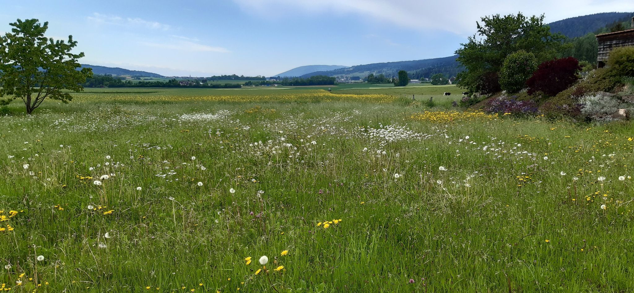 Blick Richtung Creux du Van