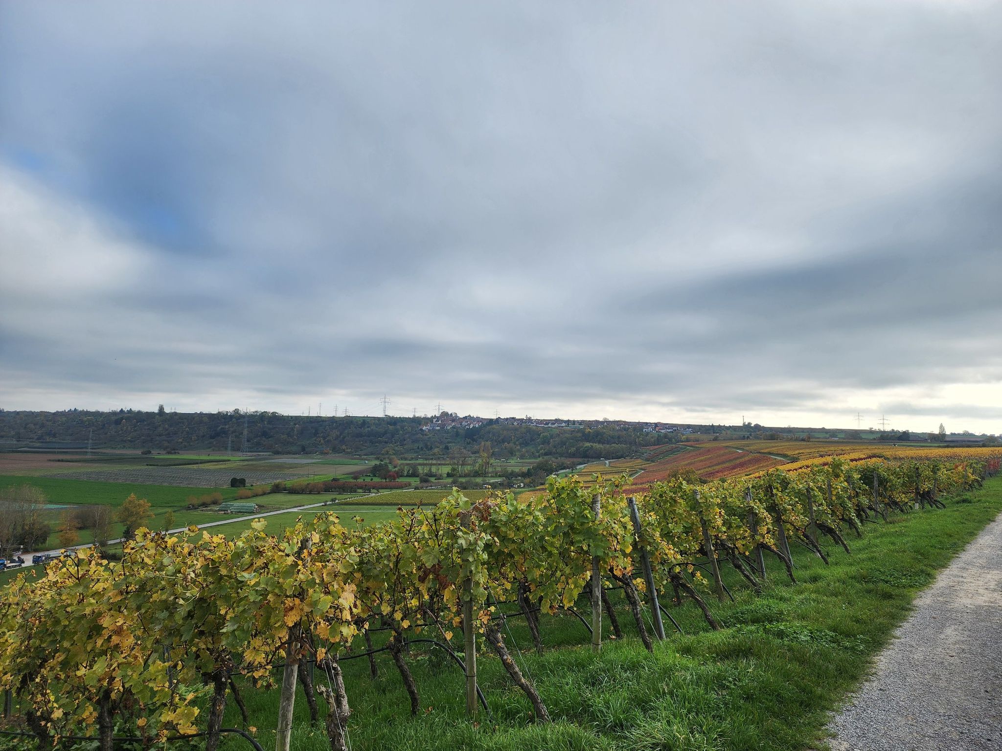 Blick auf Hofen