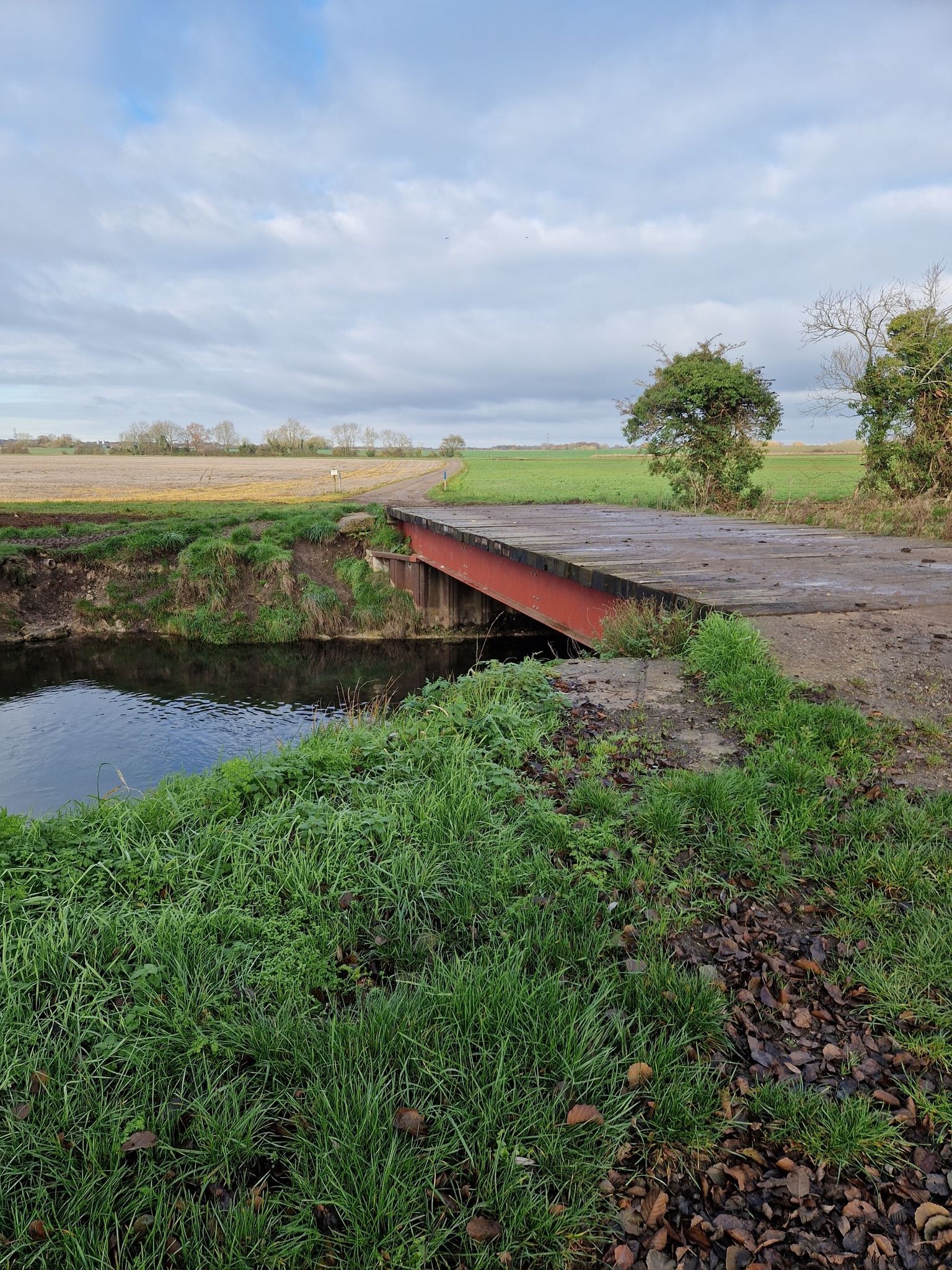 Bridge