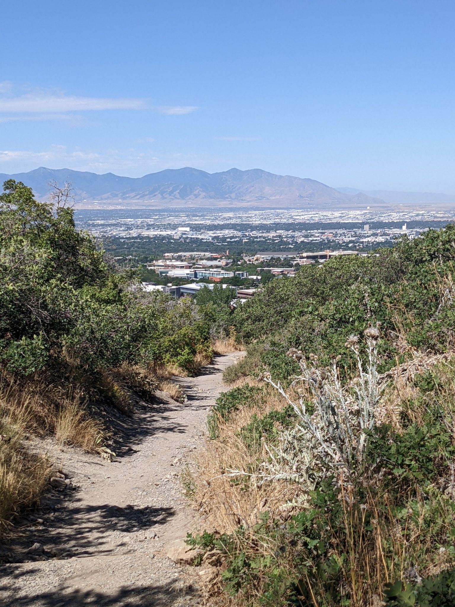 A dirt trail winds through green bushes with a city and mountains beyond. - Mount Wire and Living Room Loop