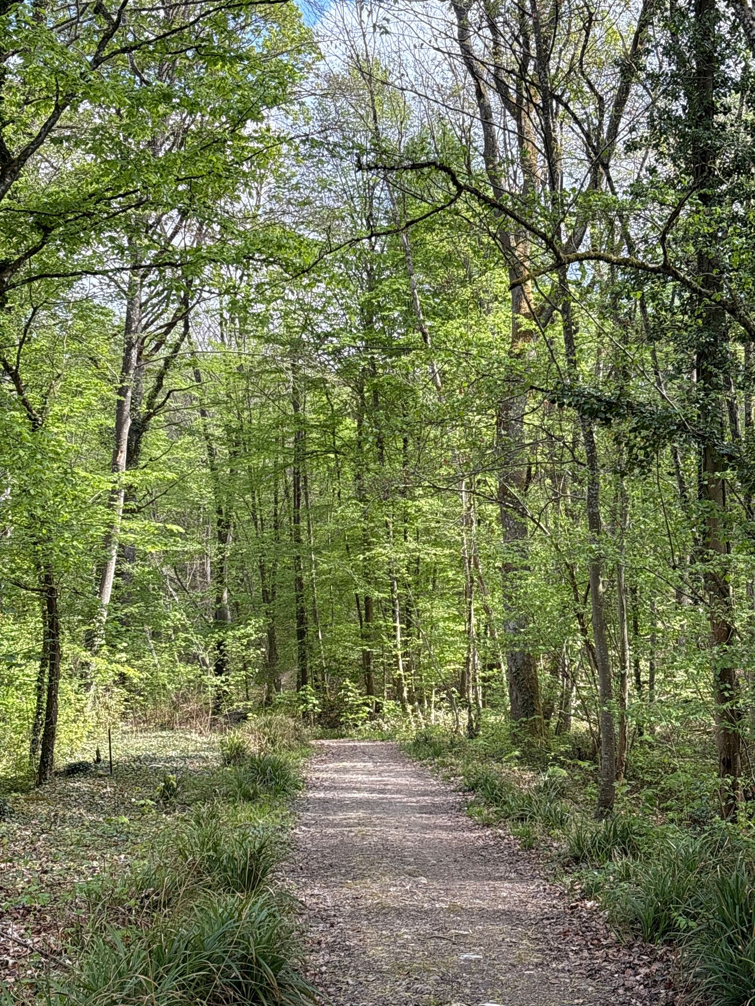 "Parc Naturel Regional de la Montagne de Reims"