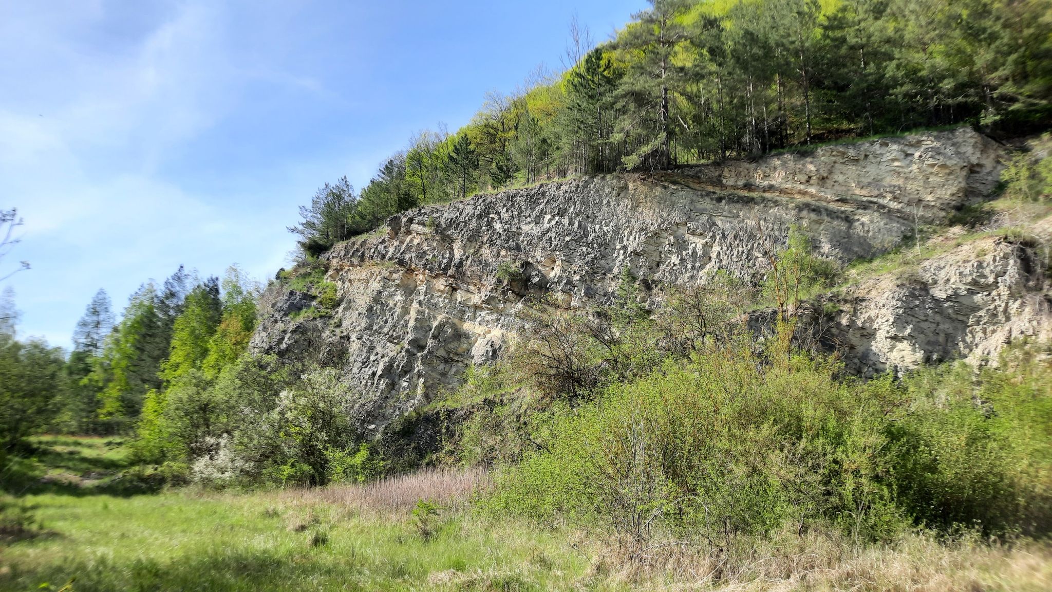 Kalksteinwand an der Lenne