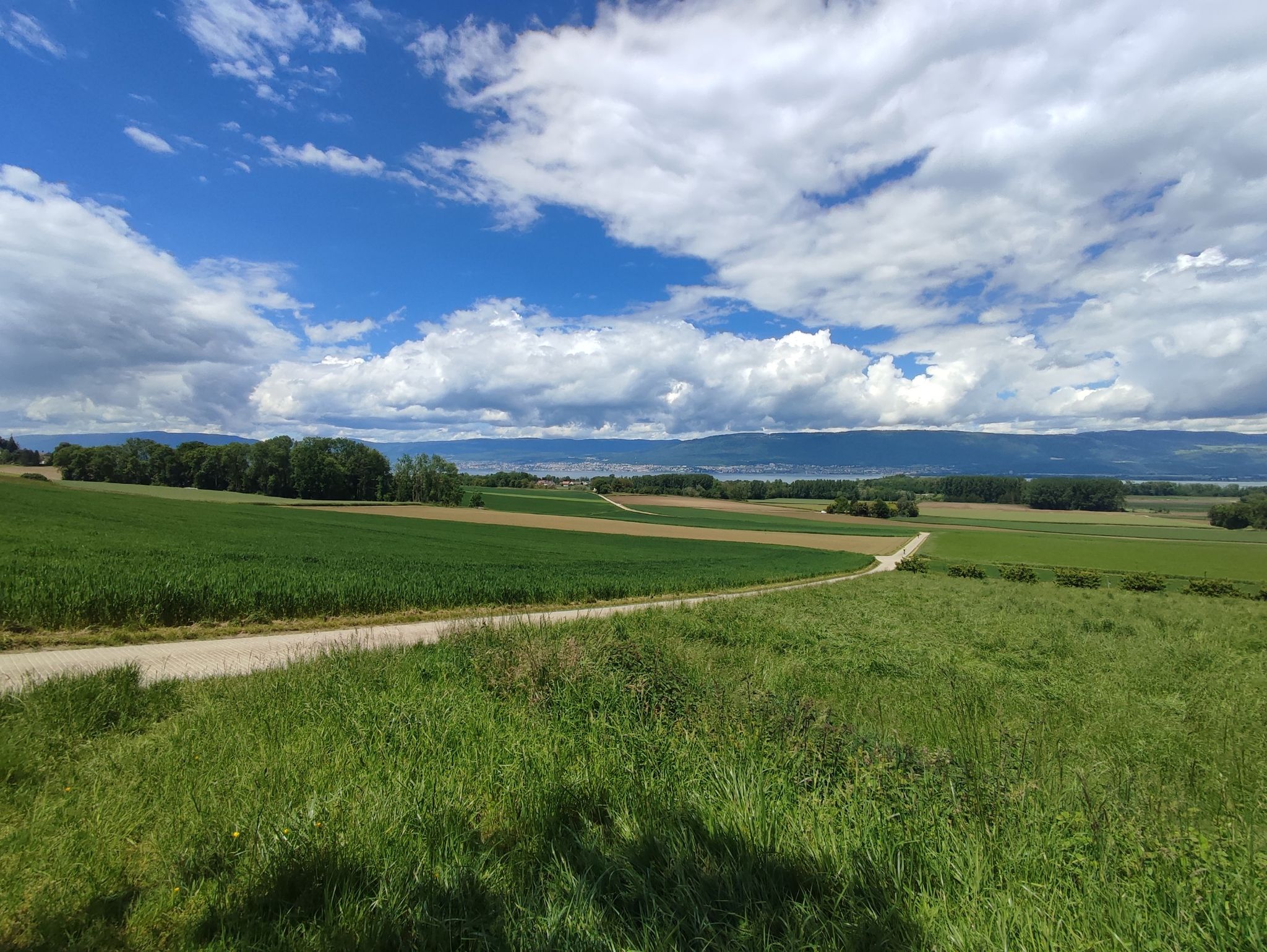 Neuenburg/Neuenburger-See