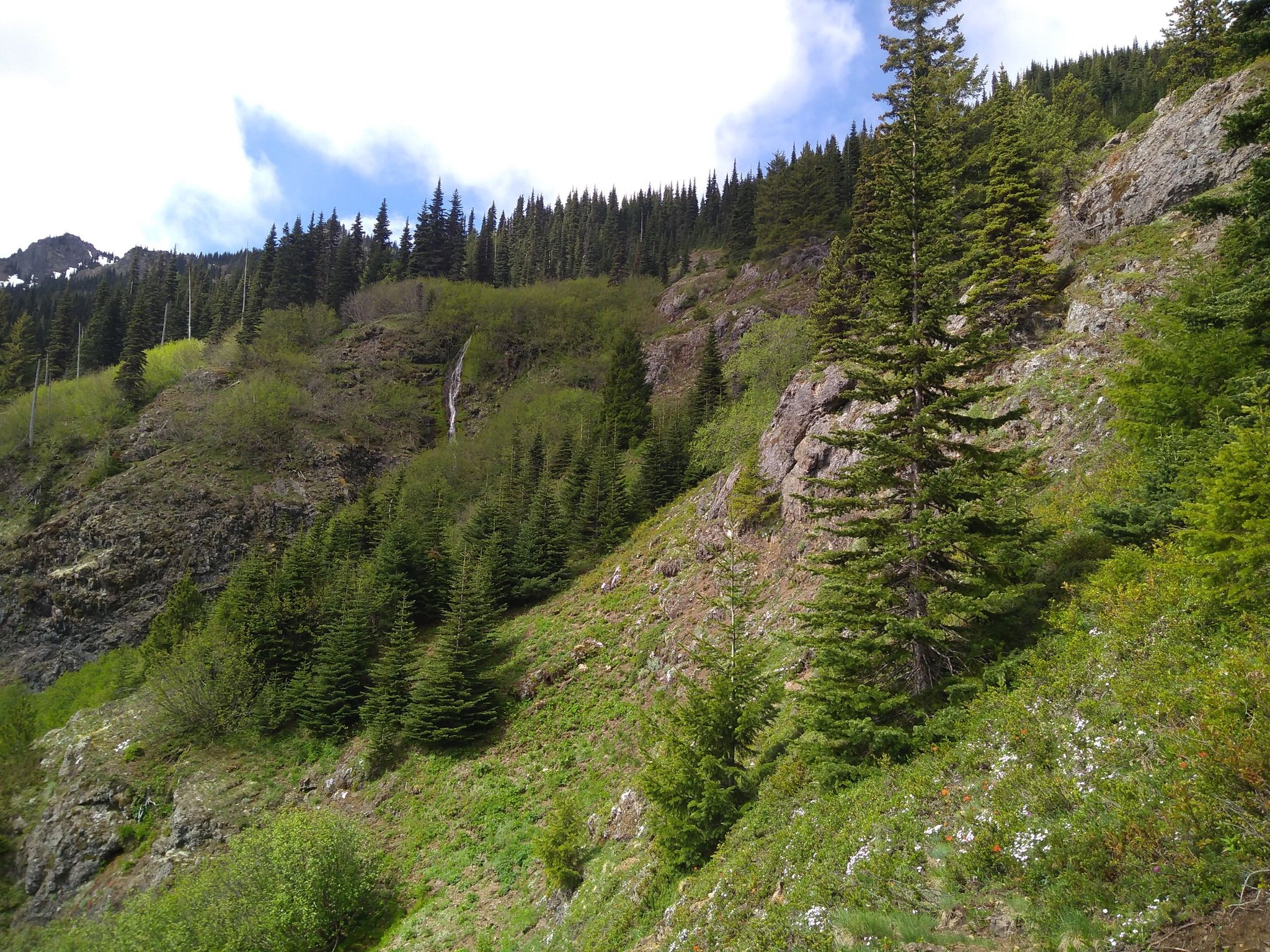 A steep, green mountain slope covered in trees with a small waterfall. - Silver Lakes via Mount Townsend Trail