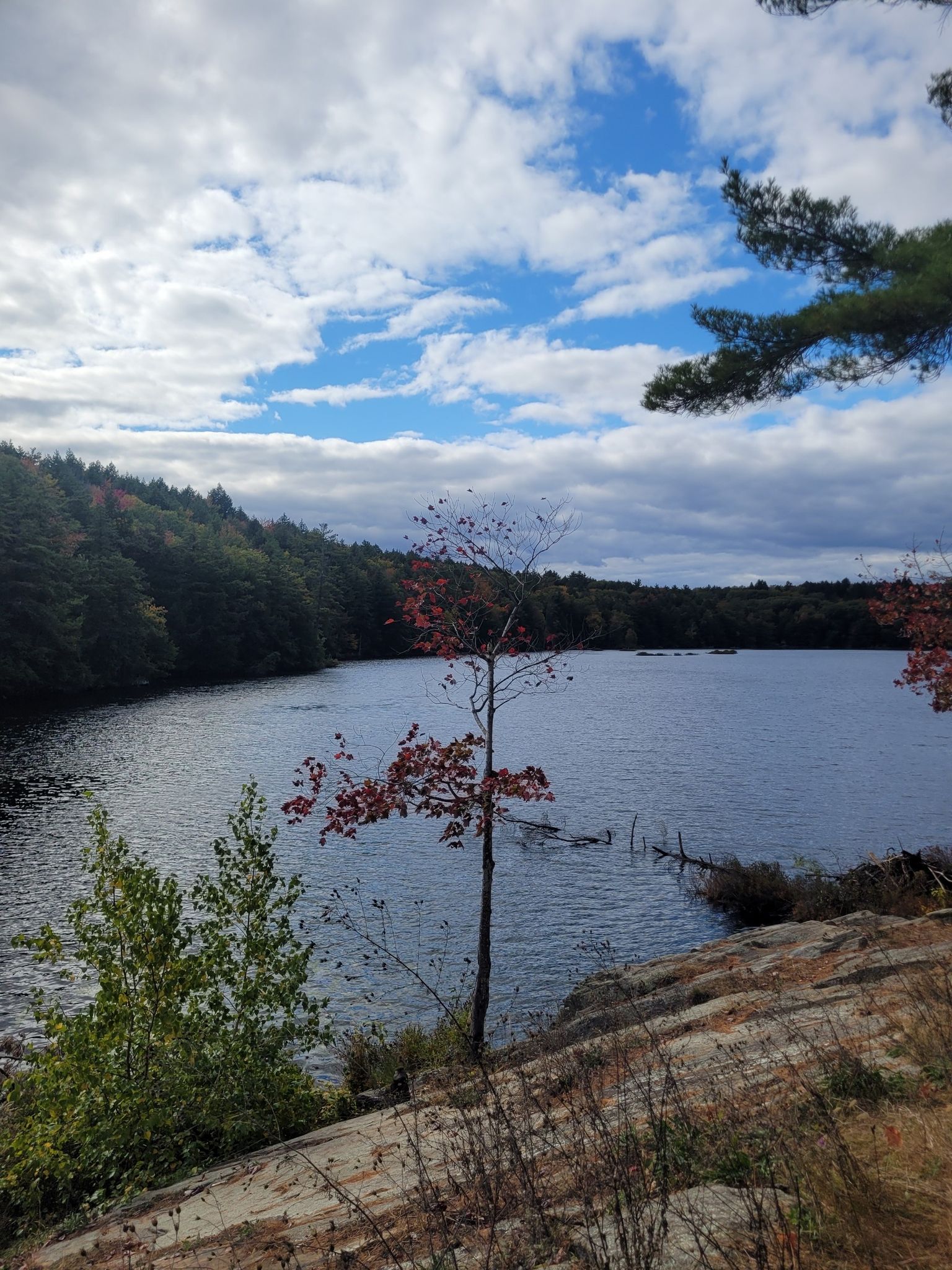 A scenic lake with a rocky shore and autumn trees under a cloudy sky. - Western Ridge, White Birch, and Lake Ann Trail Loop