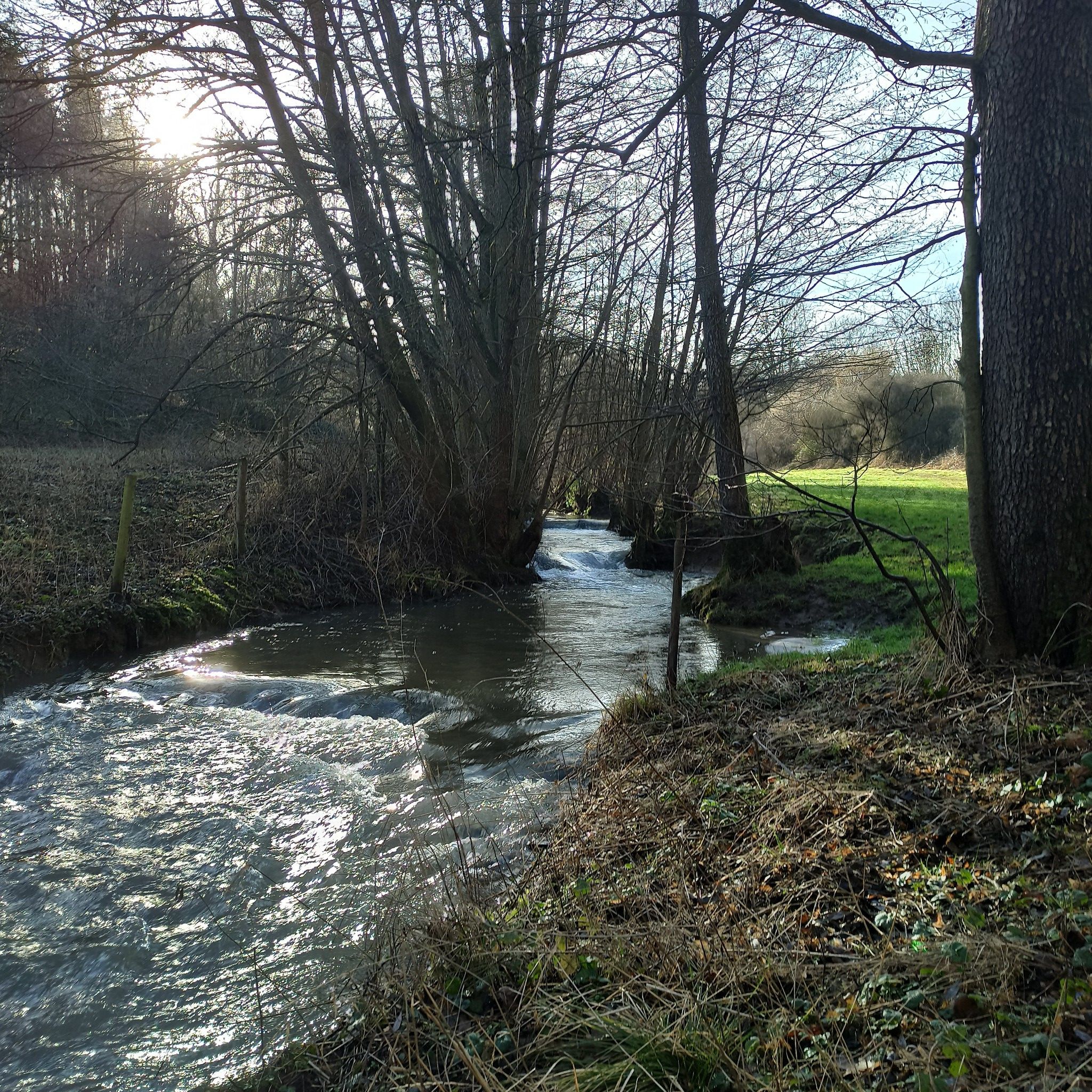 am Brohlbach