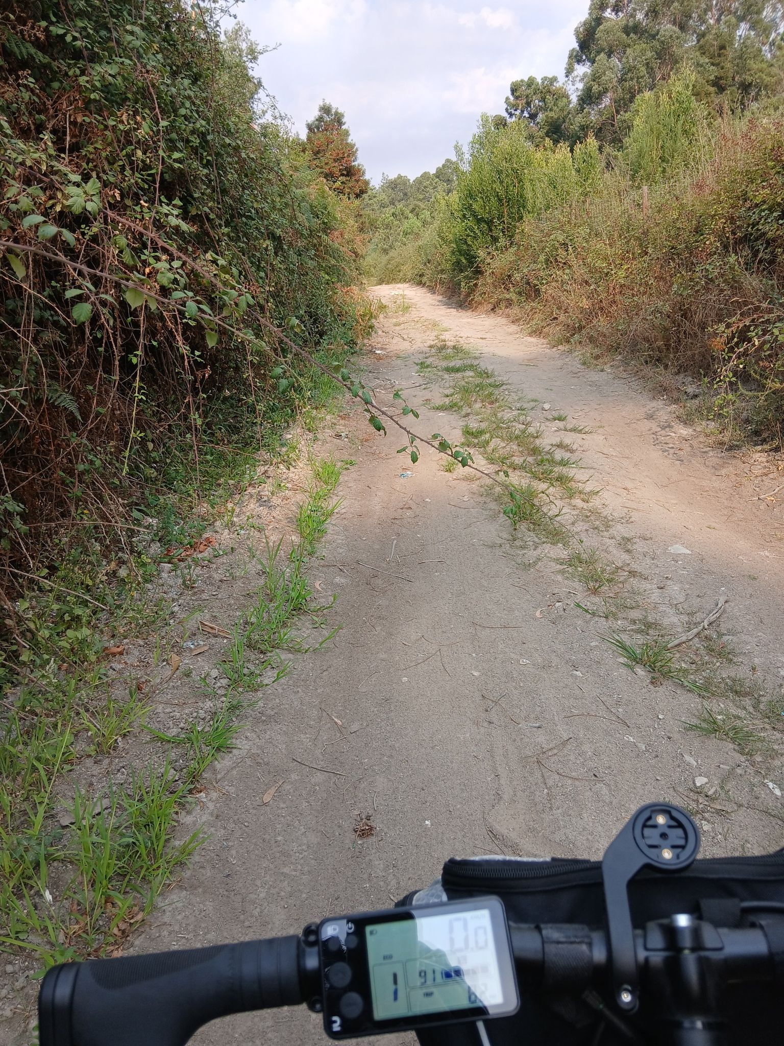 Fuoristrada solitario per rientrare che da sola non mi sento di fare🤪