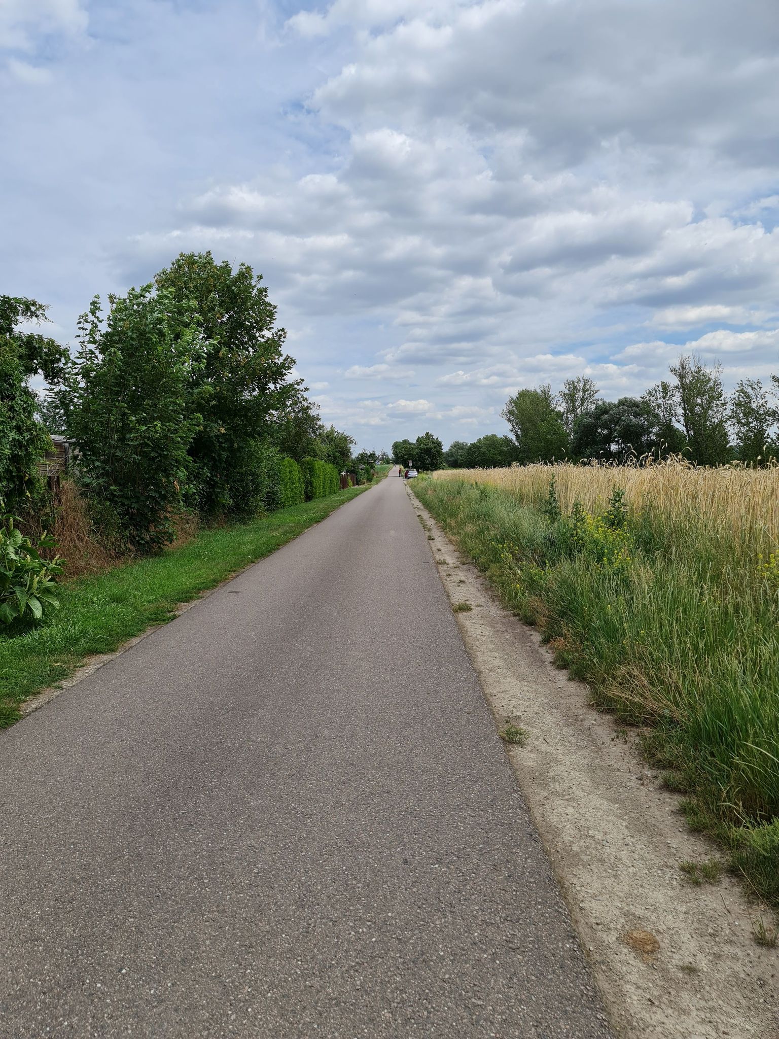 Radweg ab Schafstädt nach Großgräfendorf
