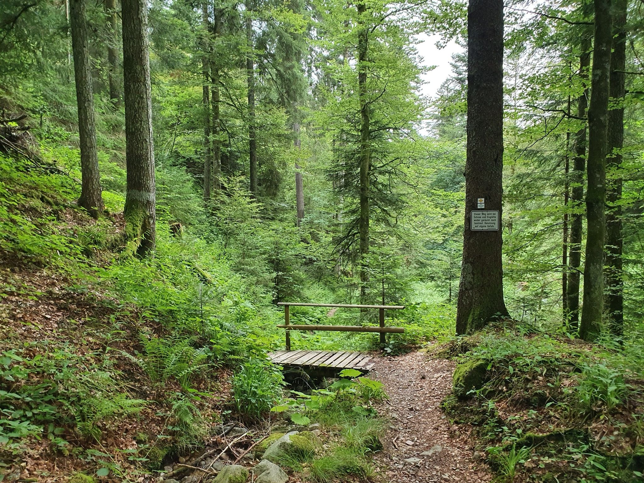 Einstieg in die Hohwehraschlucht