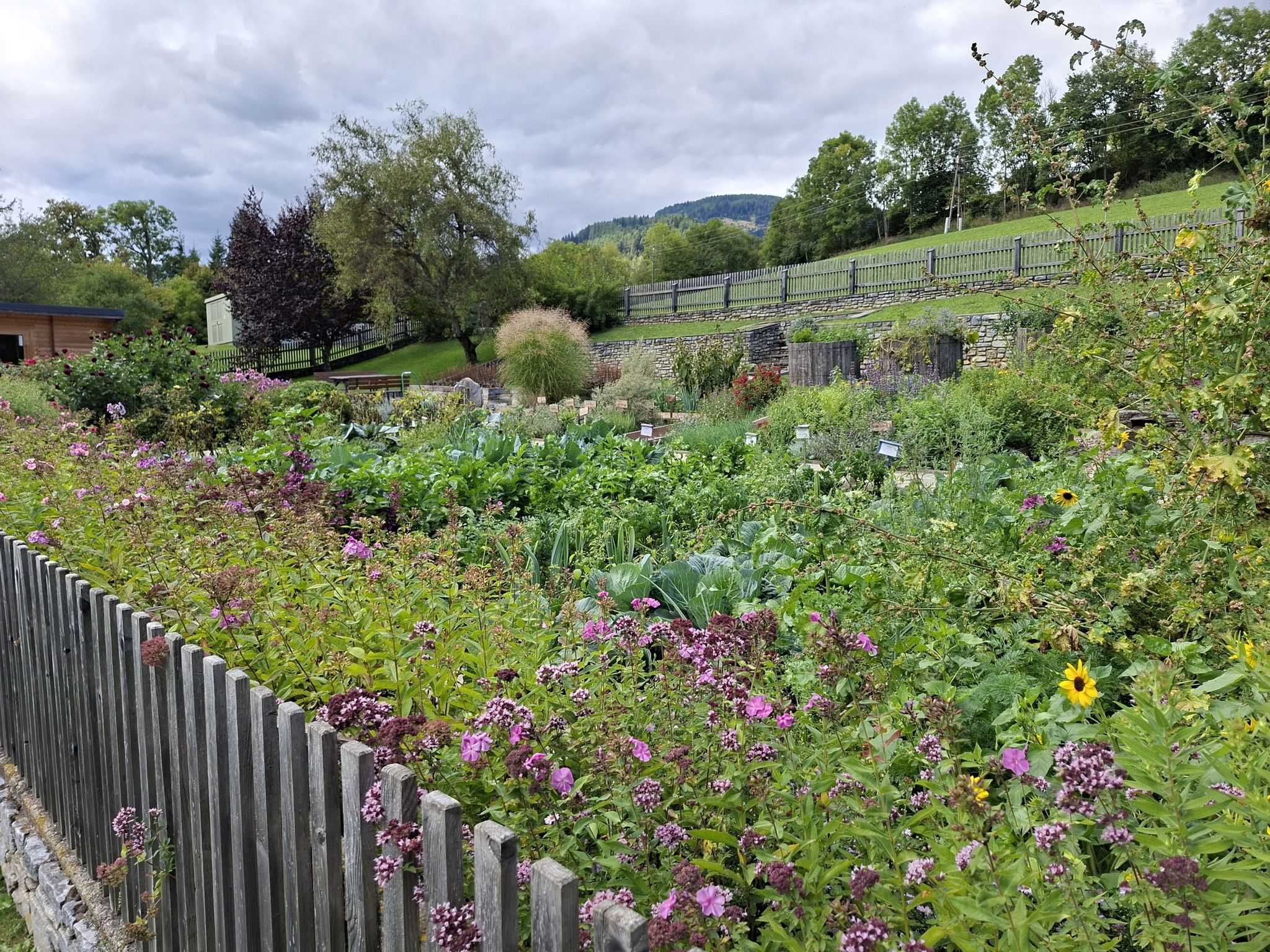 bäuerlicher Schaugarten