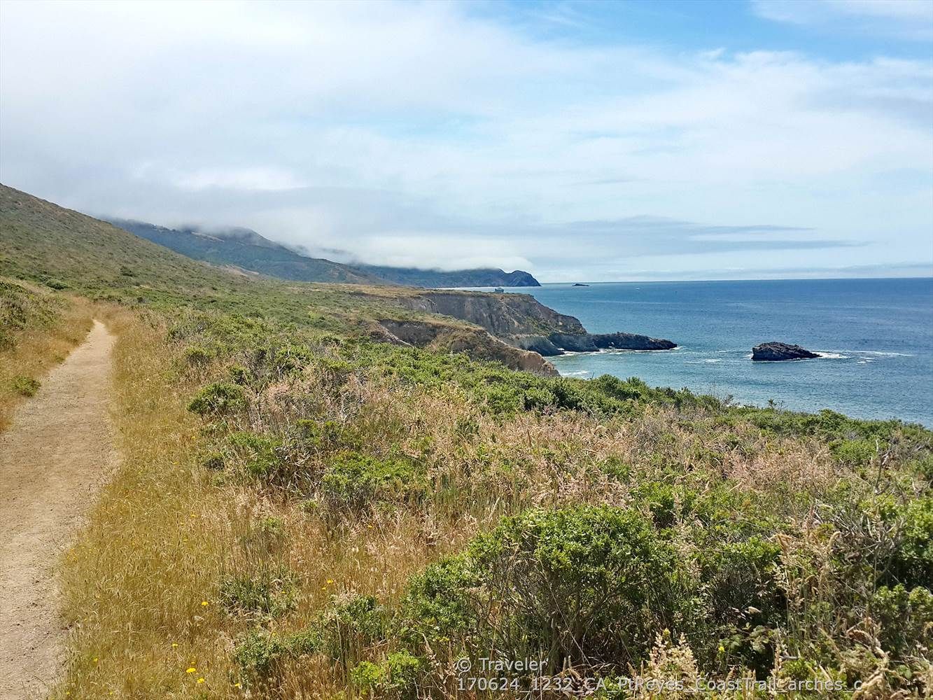 A dirt path follows a grassy coastline with cliffs overlooking the ocean. - Coast Trail: Coast Camp to Kelham Beach