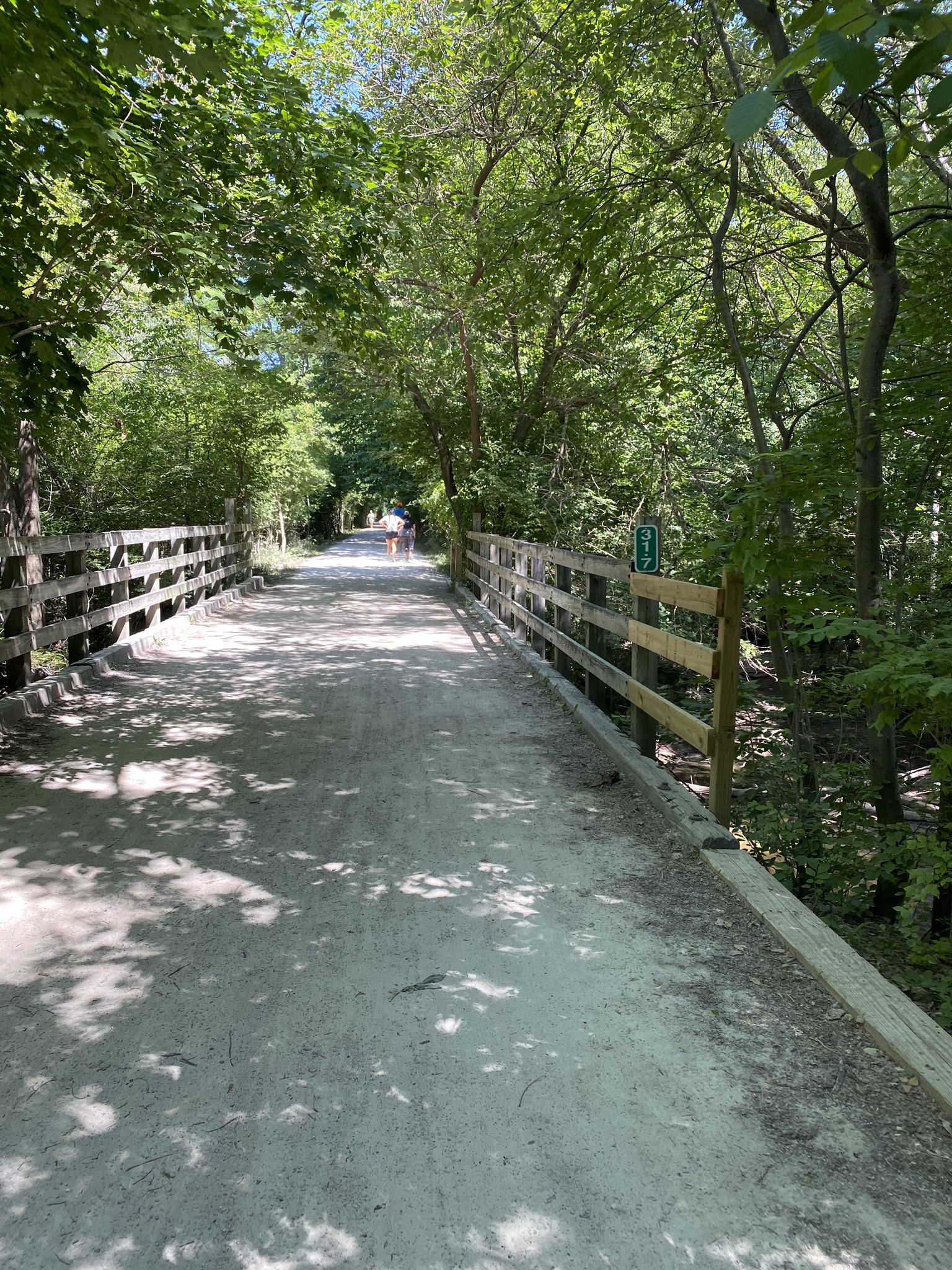 A gravel path crosses a wooden bridge through a sun-dappled green forest. - Dinosaur Hill Nature Preserve – Paint Creek Trail loop from Rochester