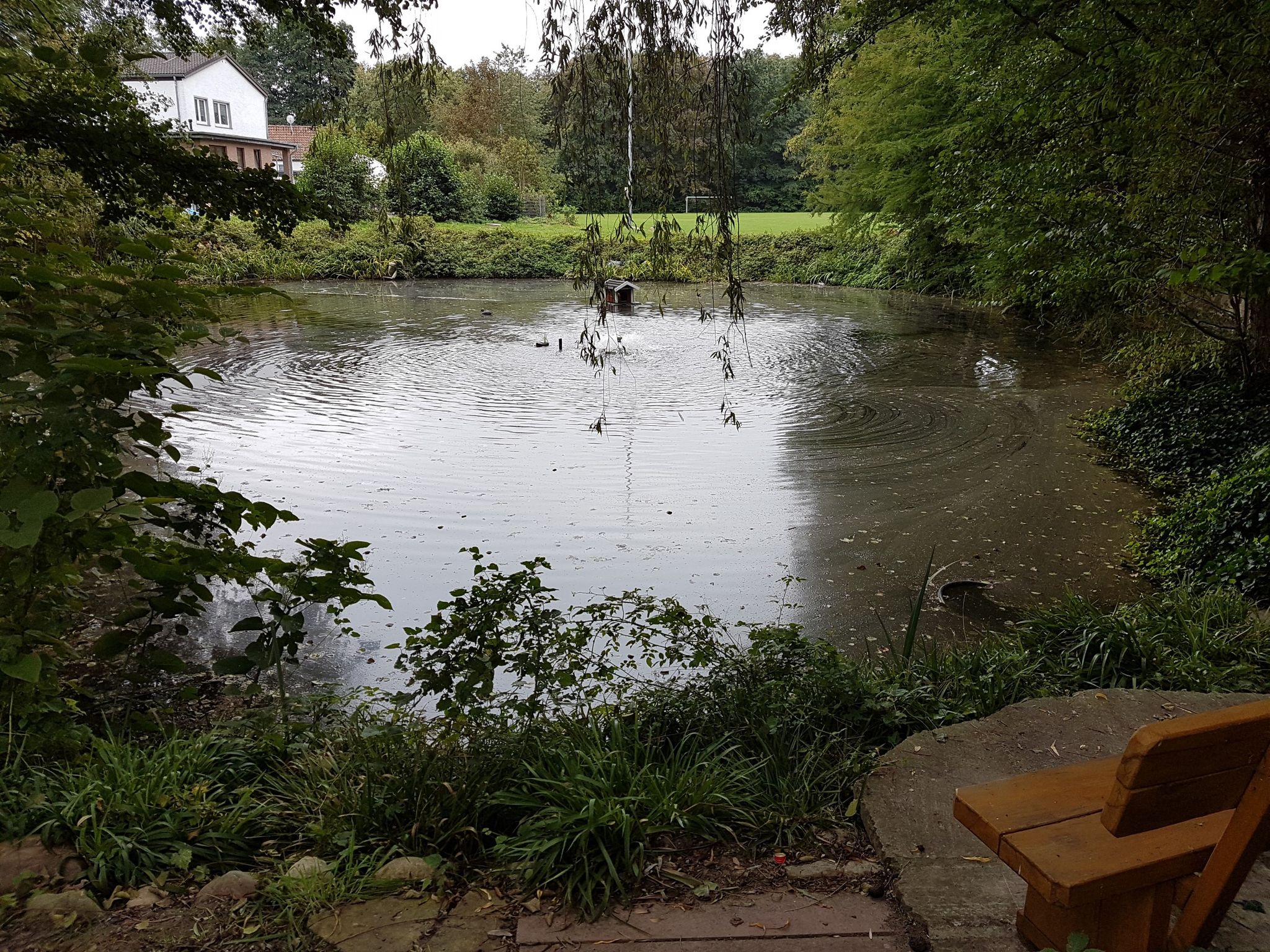 Teich mit kleinem Springbrunnen
