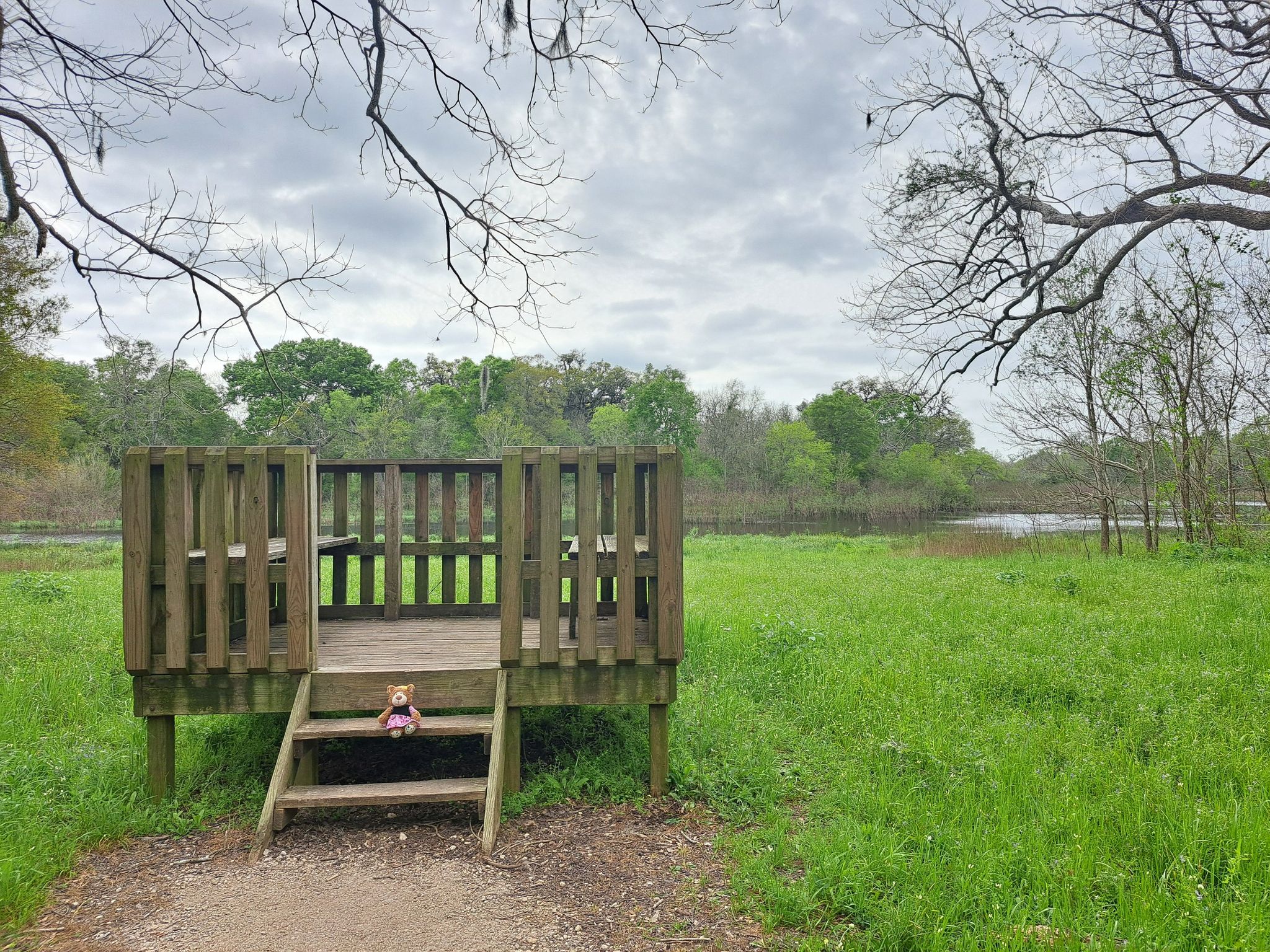 A small wooden viewing deck with a toy sits in a grassy field under a cloudy sky. - Big Creek Loop Trail