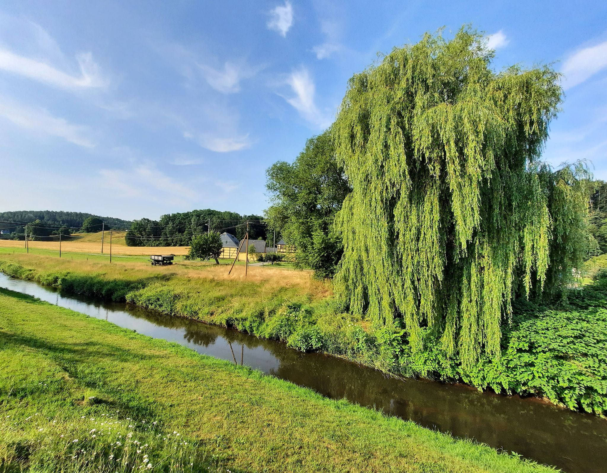 Lungwitzbach  Höhe Lobsdorfer Straße