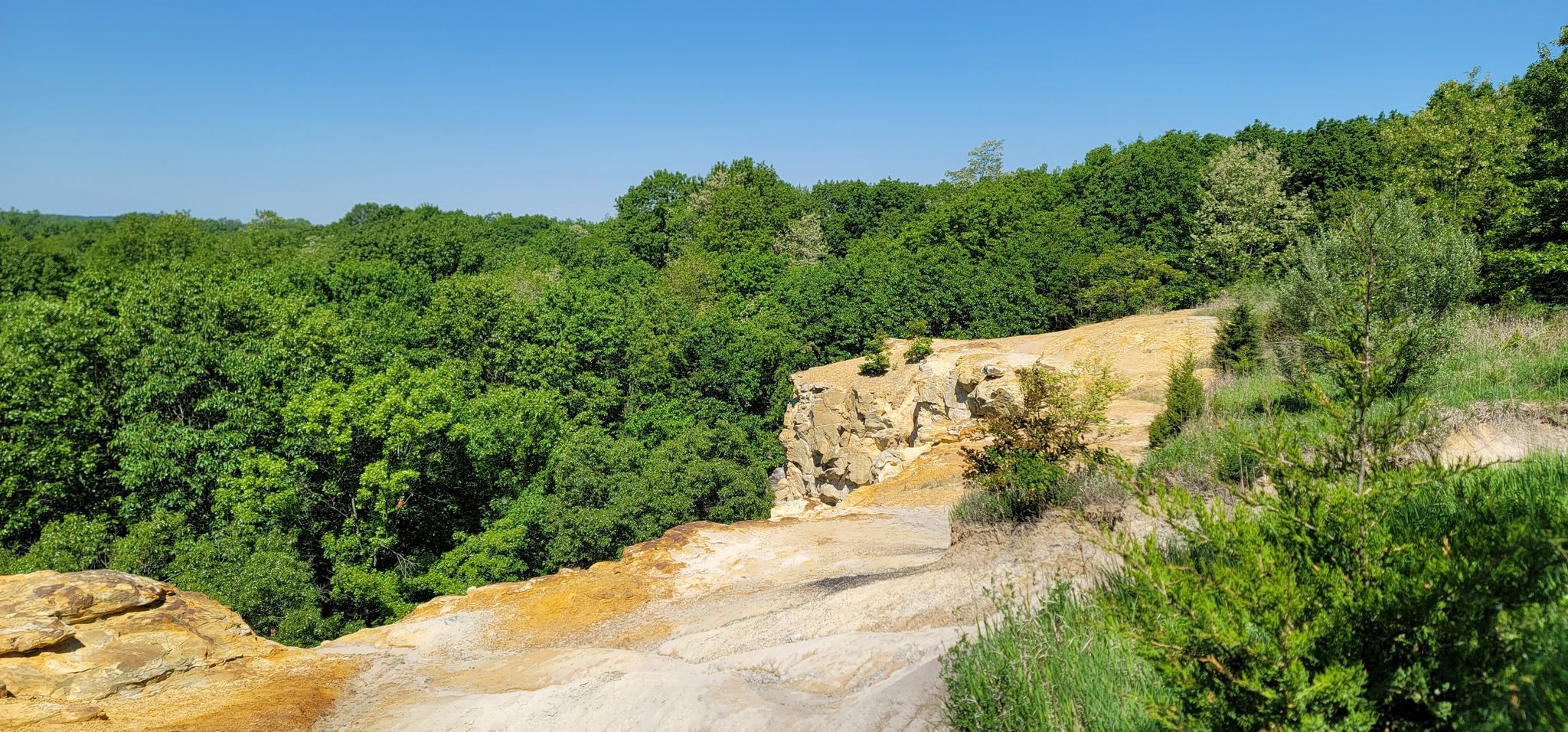 Sunny view of a rocky cliff overlooking a dense green forest. - River Bluff Trail Loop