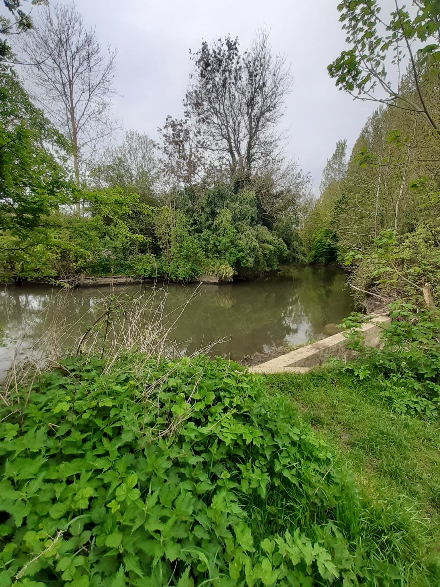 Epte, mise à l'eau et sortie possible entre Neaufles-saint-Martin et Courcelles-lès-Gisors
