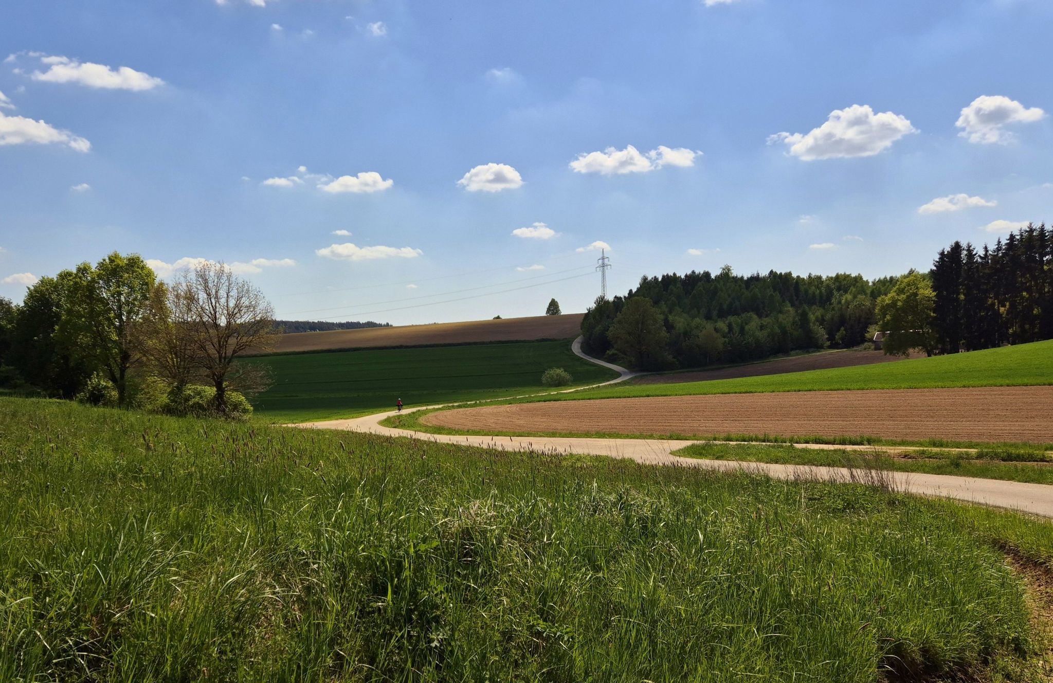Wir bewegen uns in welligem Land