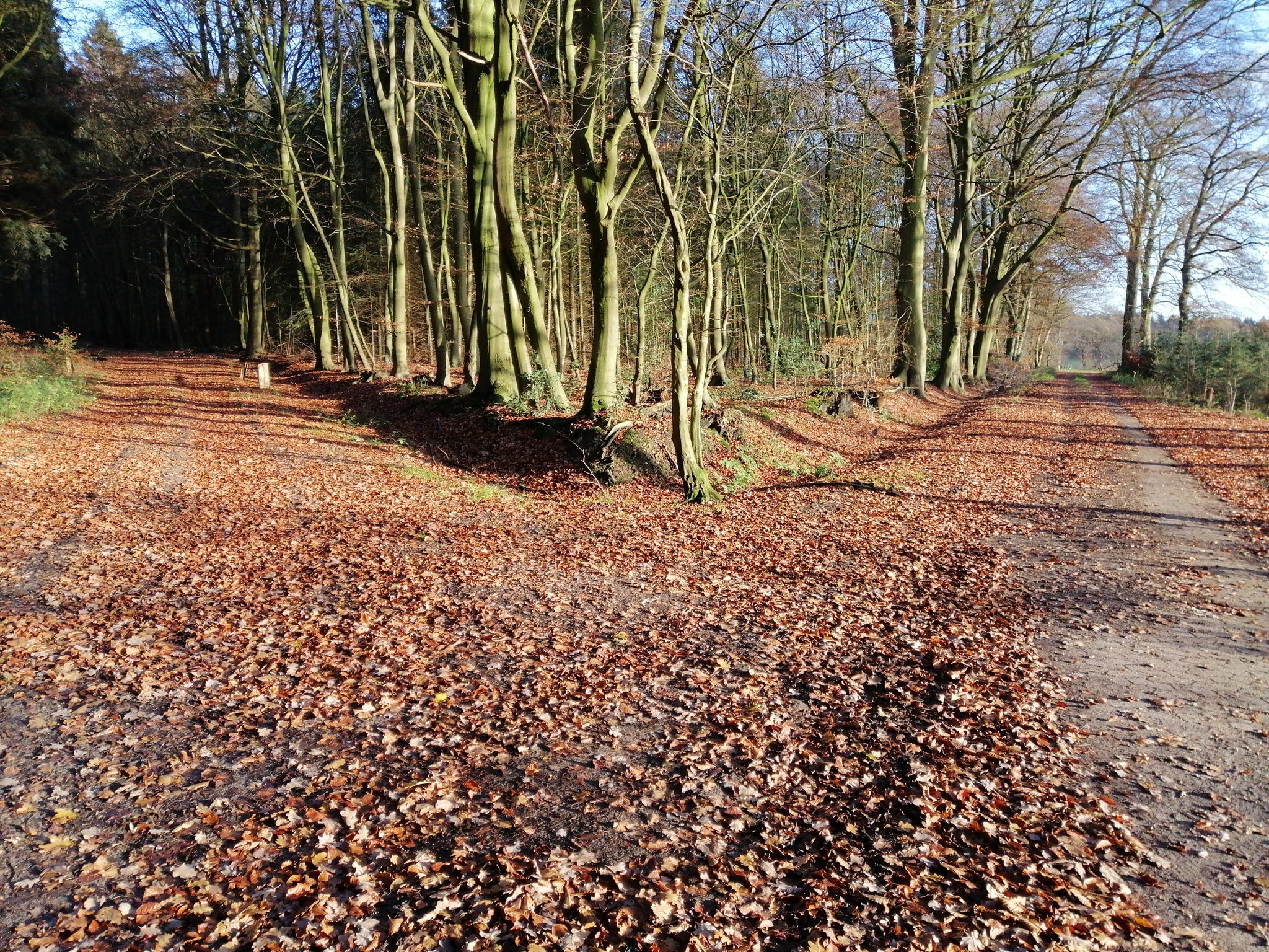 nach links oder nach rechts ?