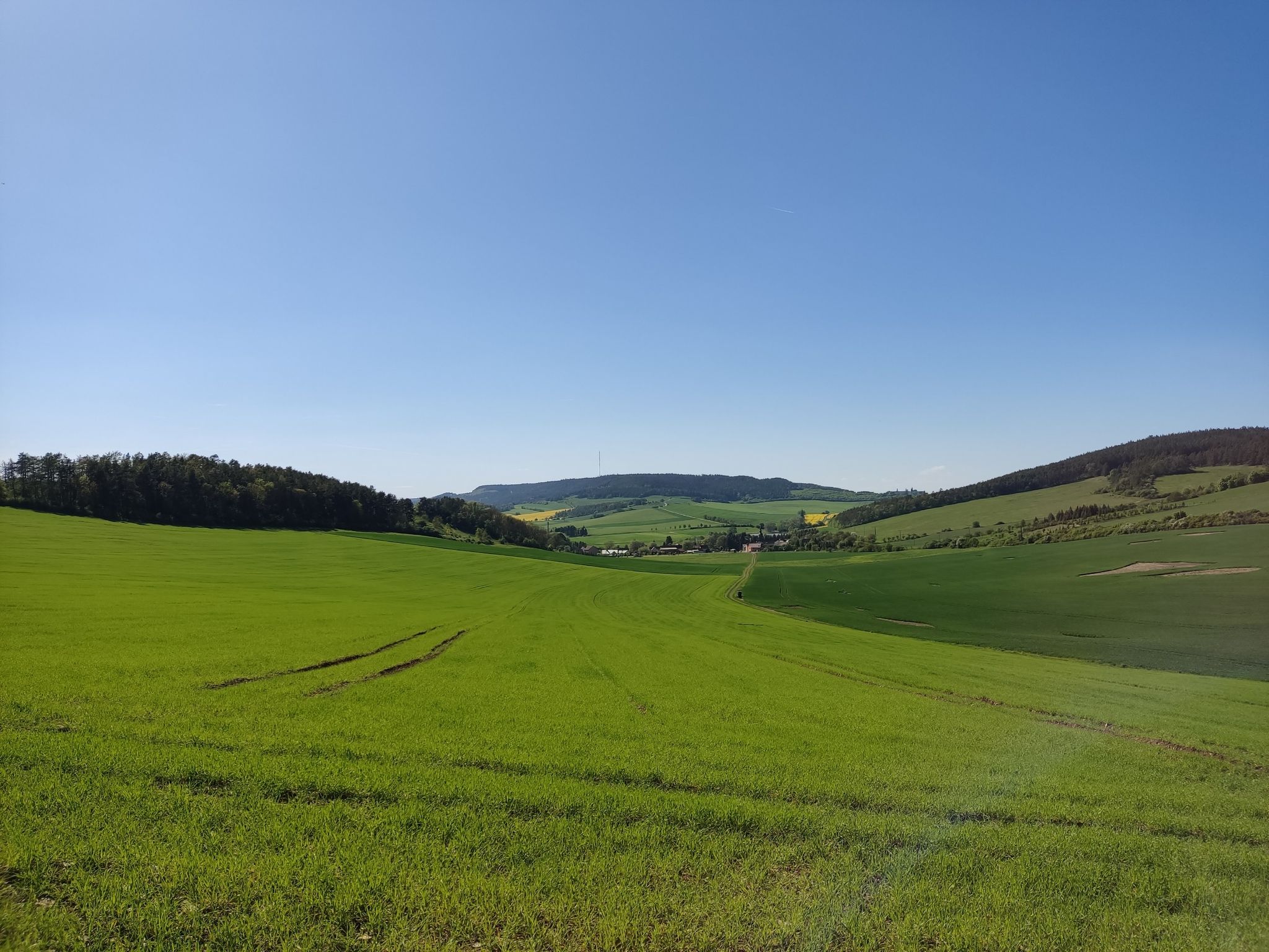 Kalmberg