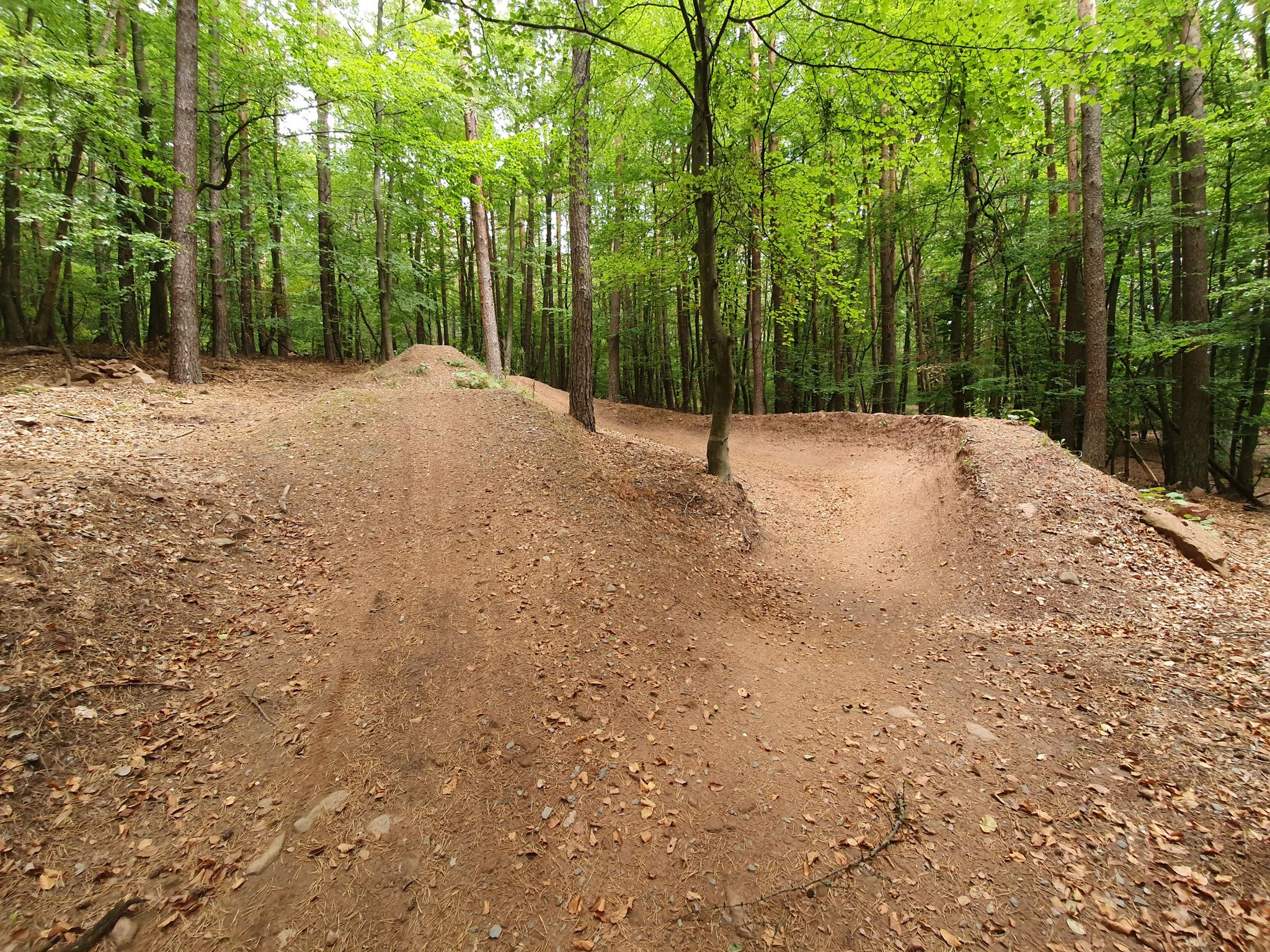 Bikepark Enkenbach