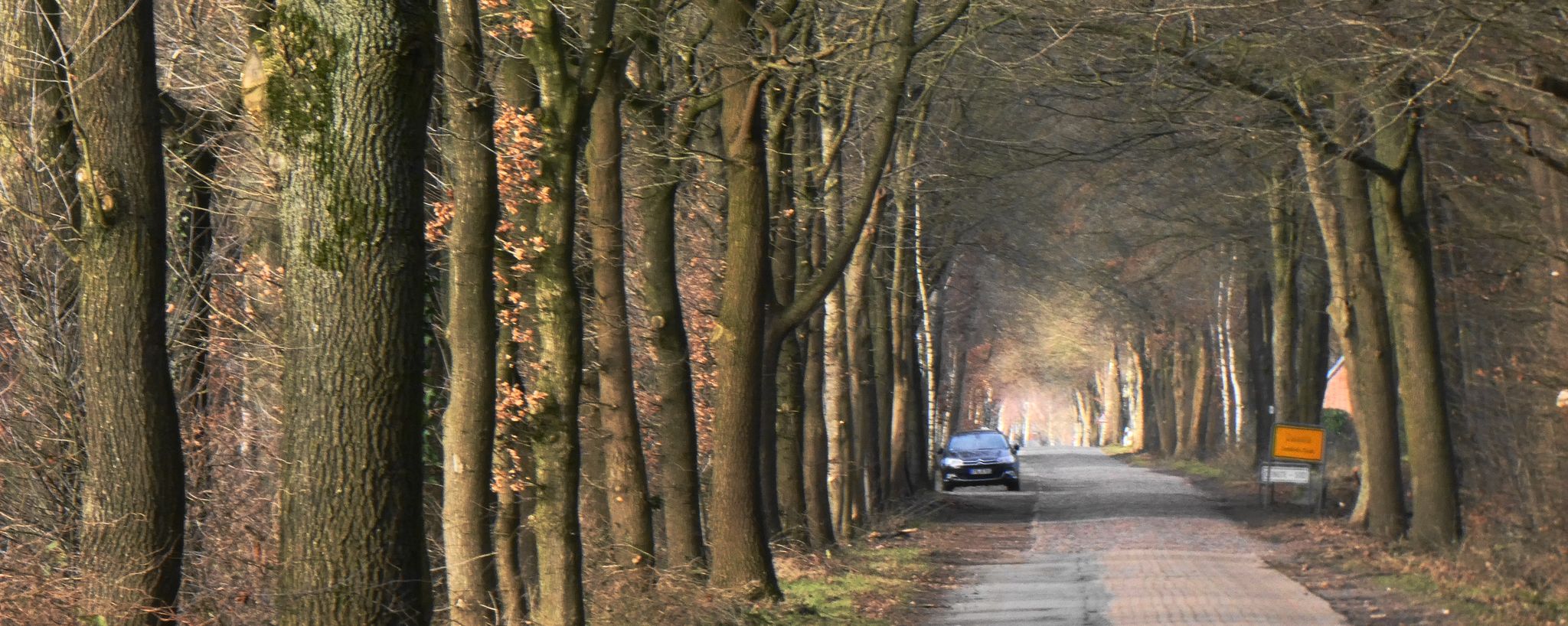 Weg nach Deinste