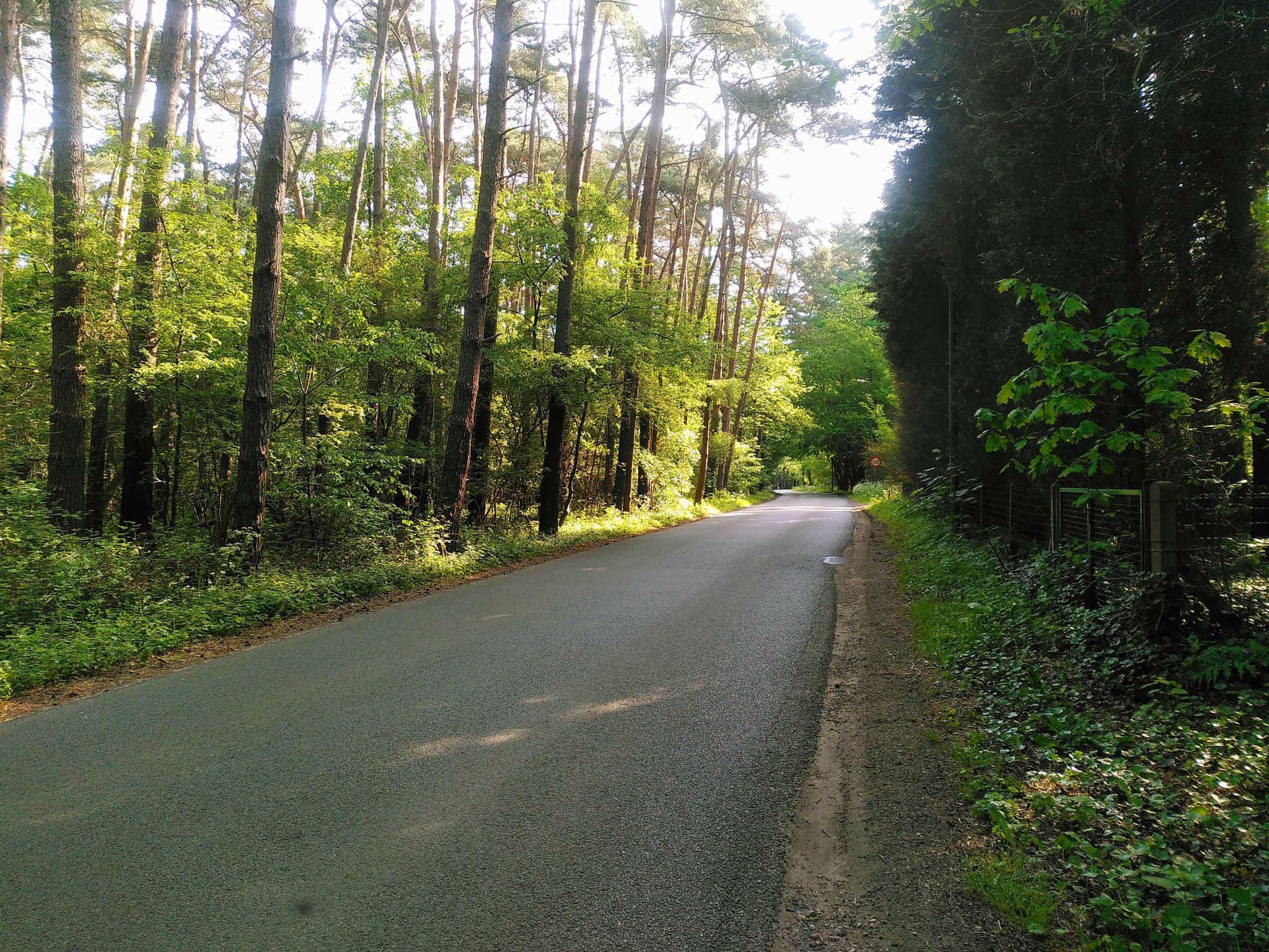 The perfect road.