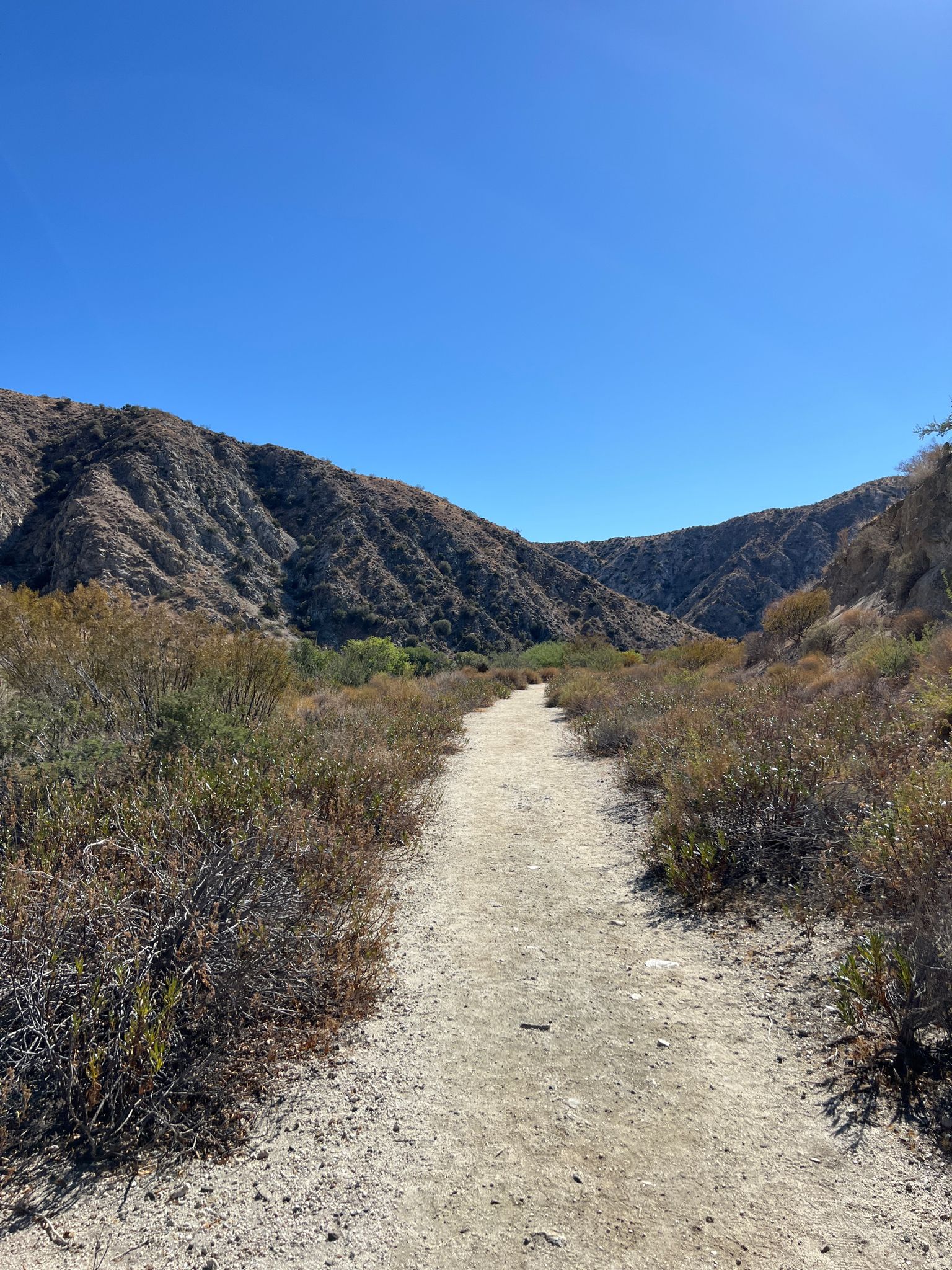 Dirt path leading into a rugged canyon with mountains under clear sky. - Big Morongo Canyon Preserve – San Bernardino NF/Sand to Snow Monument