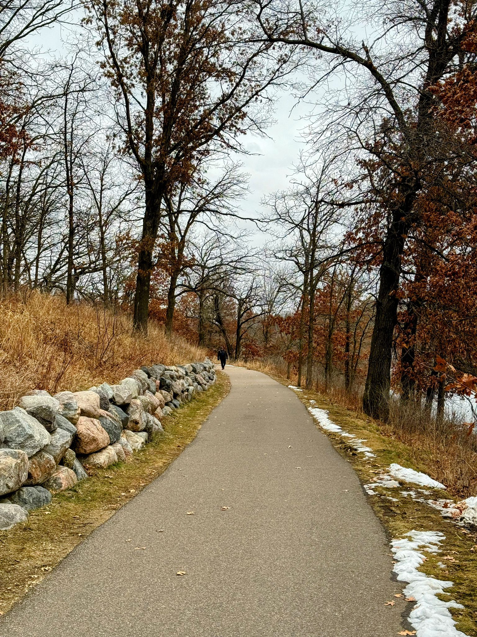 Paved path with a rock wall, bare trees, and a distant walker. - McDonough Lake Loop