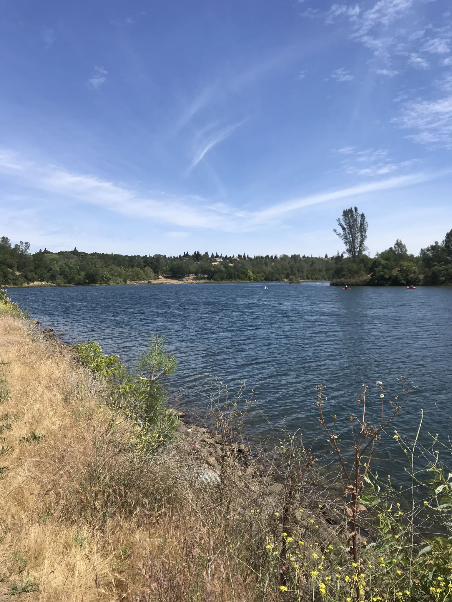 A wide blue lake with distant trees and a grassy shore under a cloudy sky. - Folsom Historic Truss Bridge – Lake Natoma loop from Iron Point