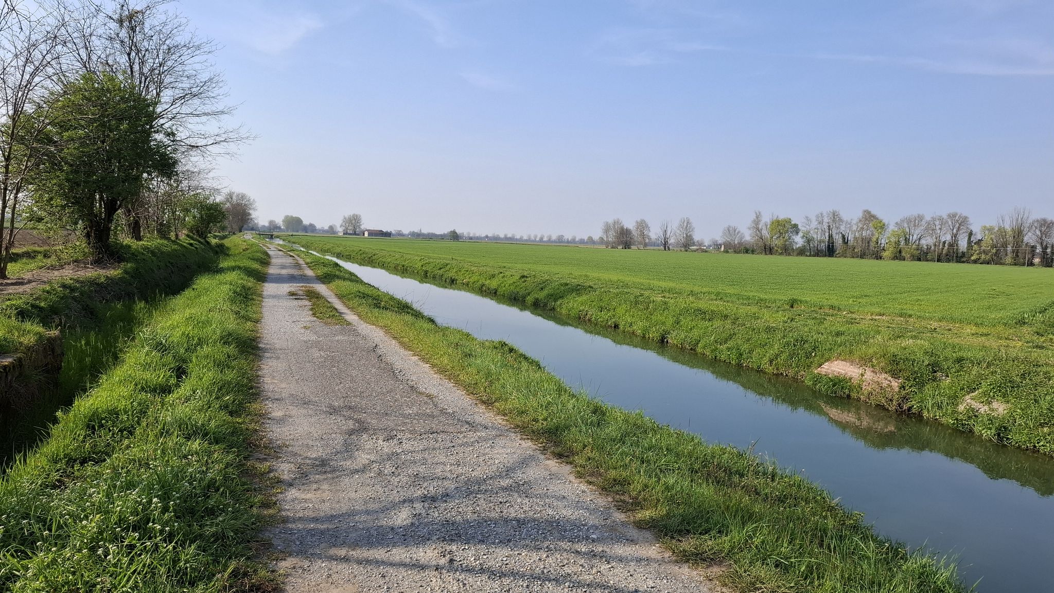 Campagna tra Casalbuttano e Mirabello Ciria