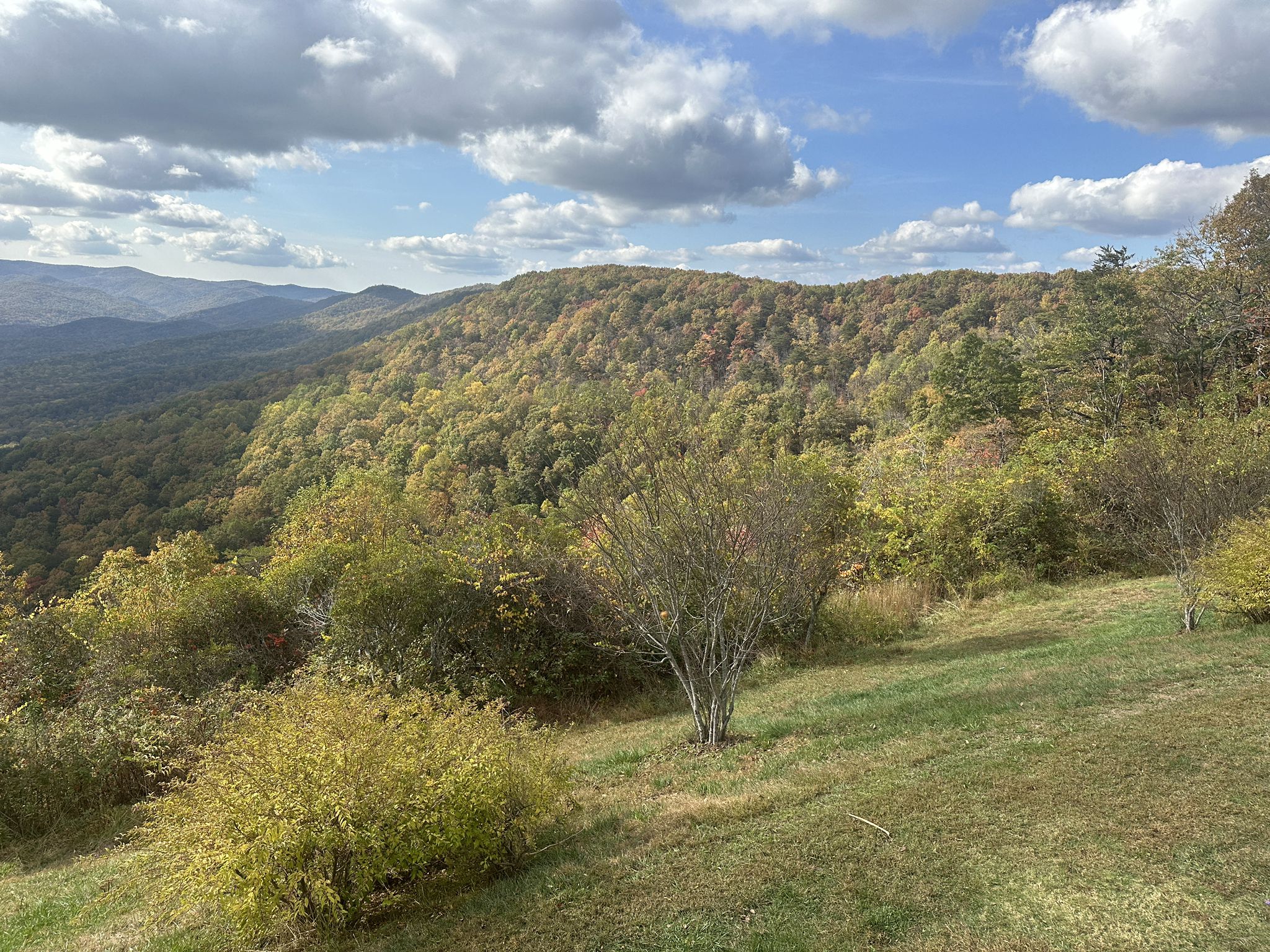 Autumn mountain landscape with colorful trees, grassy foreground, and cloudy sky. - East Ridge Trail