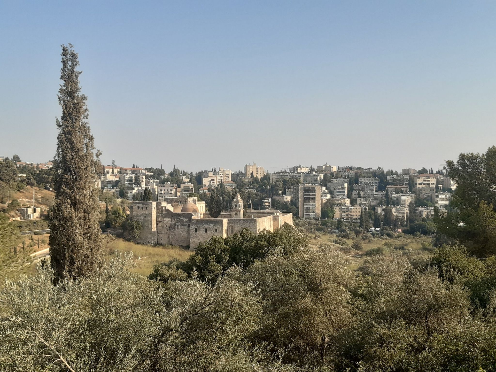 Katamon