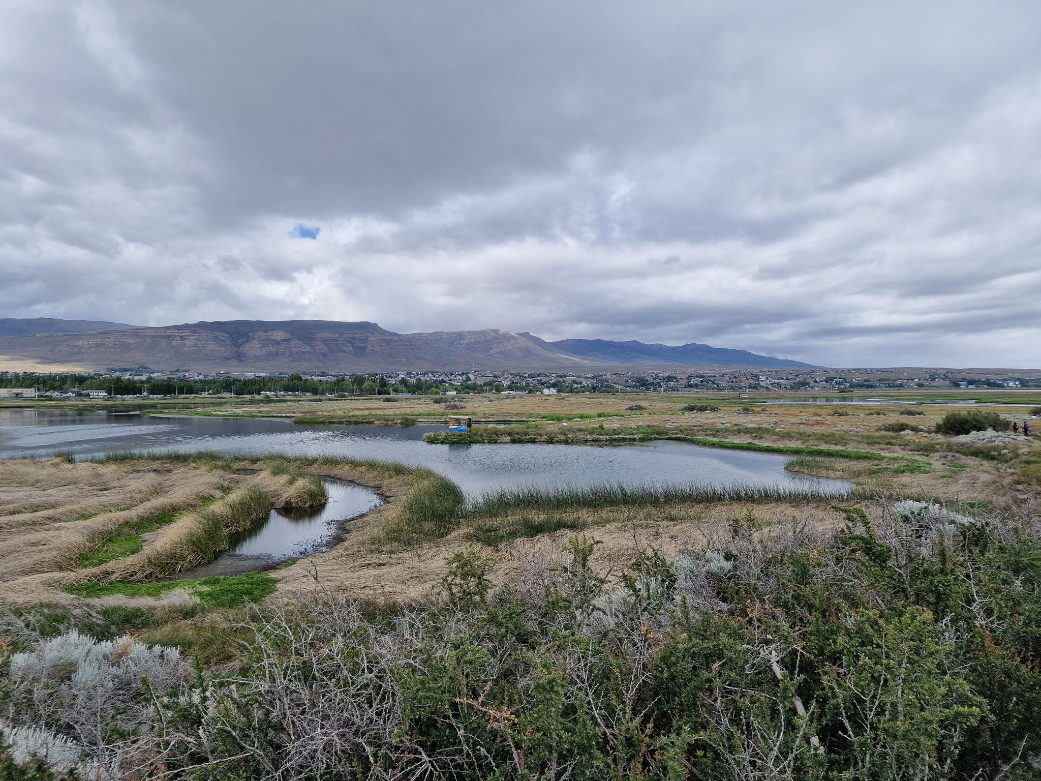 Blick über den Park und El Calafate