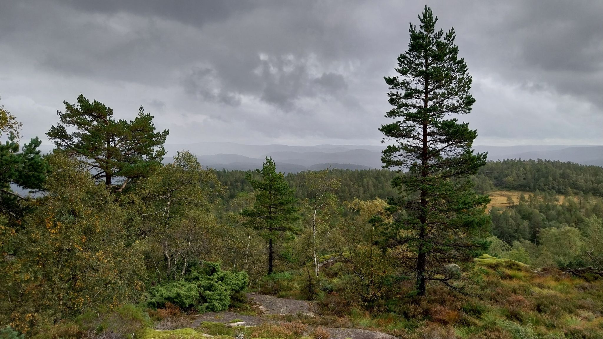Aussicht