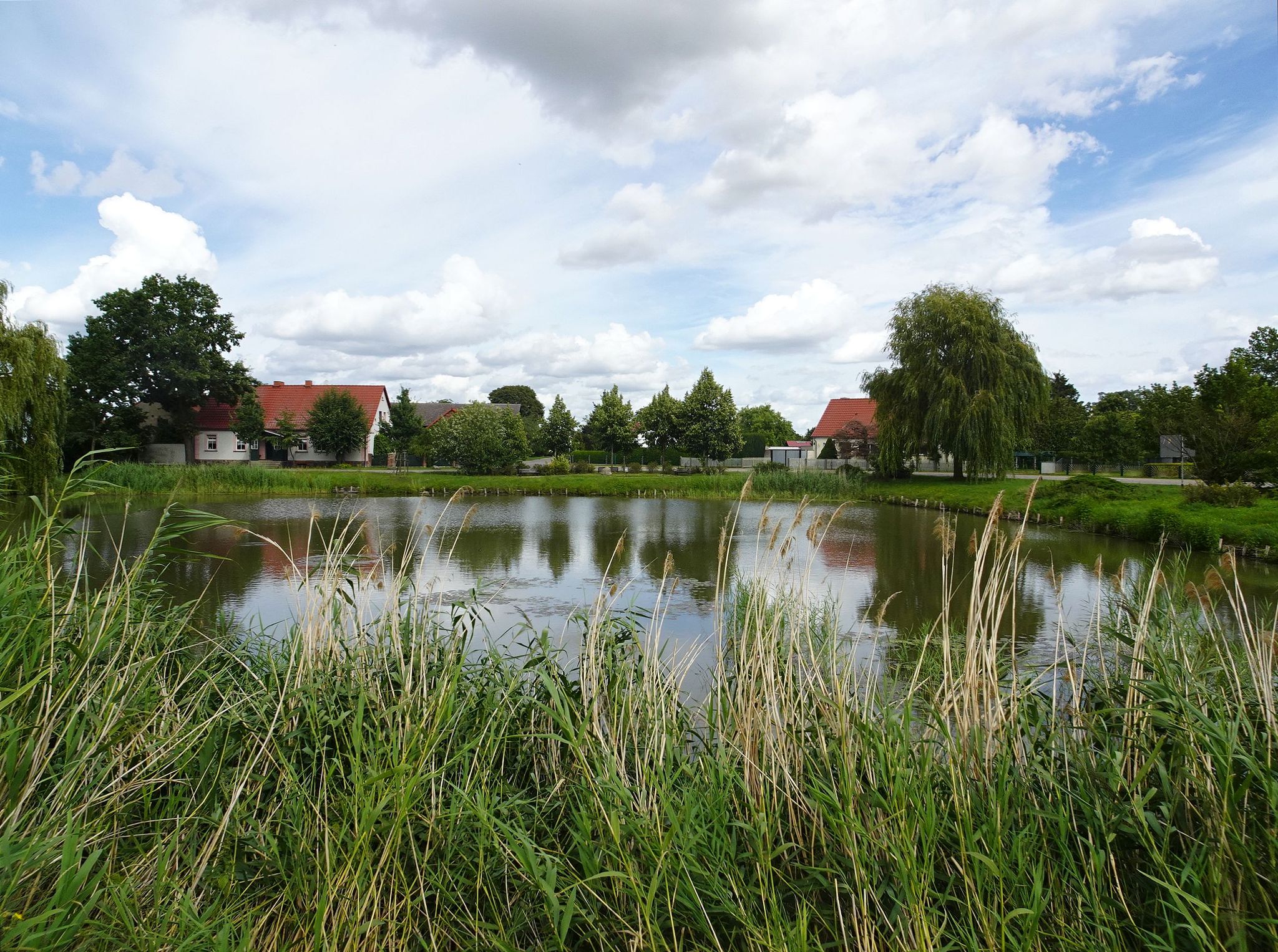 Dorfteich Friedersdorf