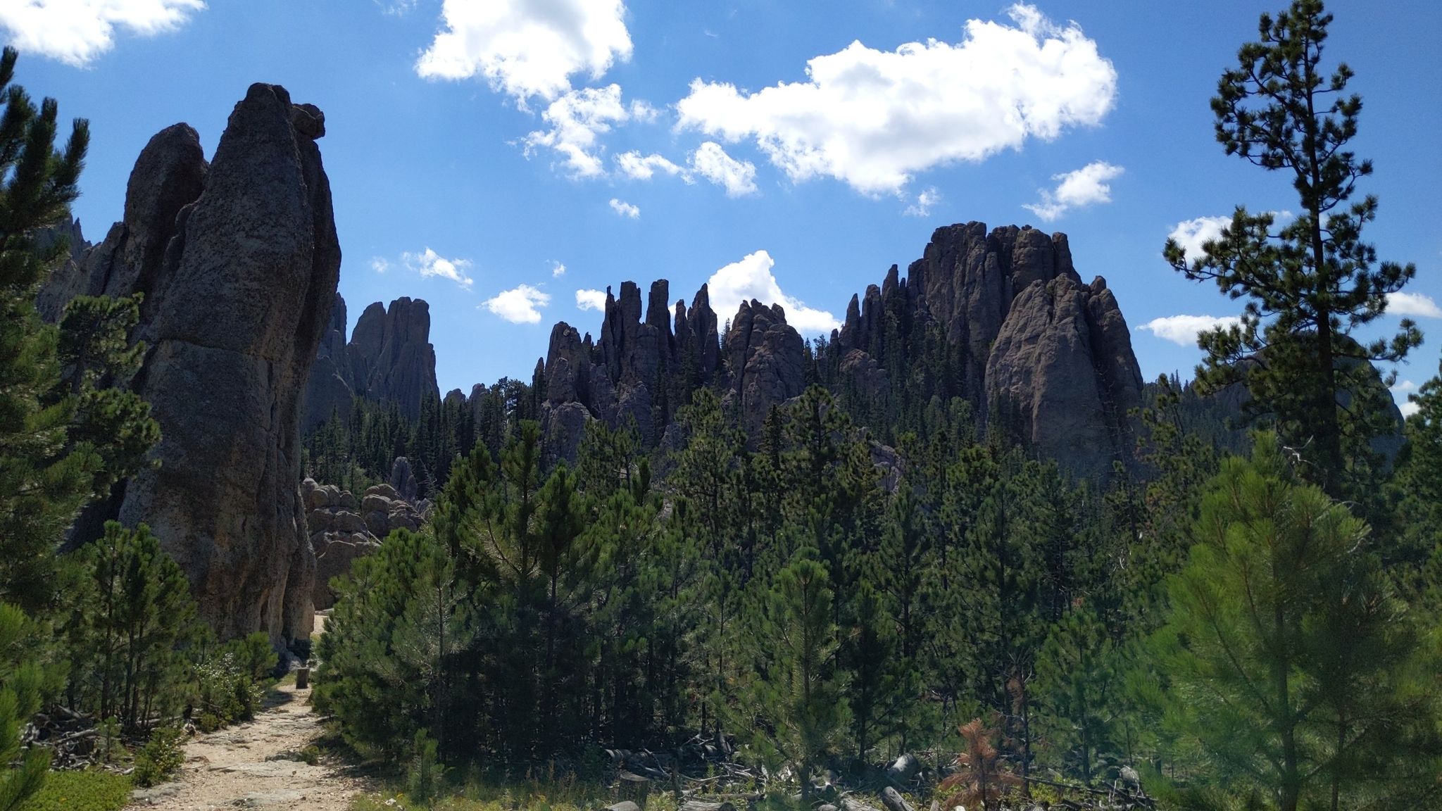 Tall, narrow rock formations rising above a dense pine forest. - Norbeck Trail #3