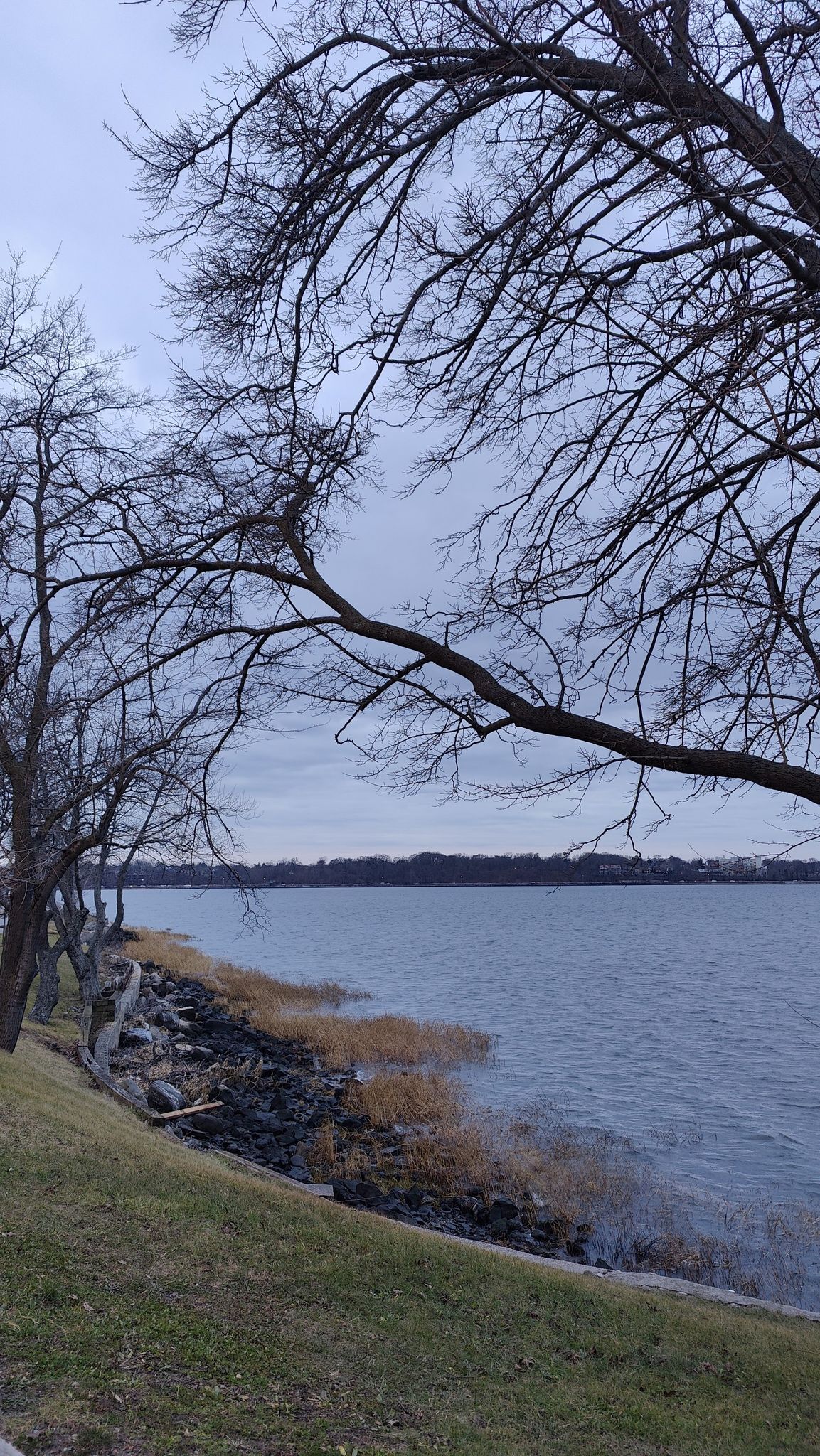 Bare trees frame a calm lake with a rocky, grassy bank under an overcast sky. - Shore Road loop from Village of Lake Success