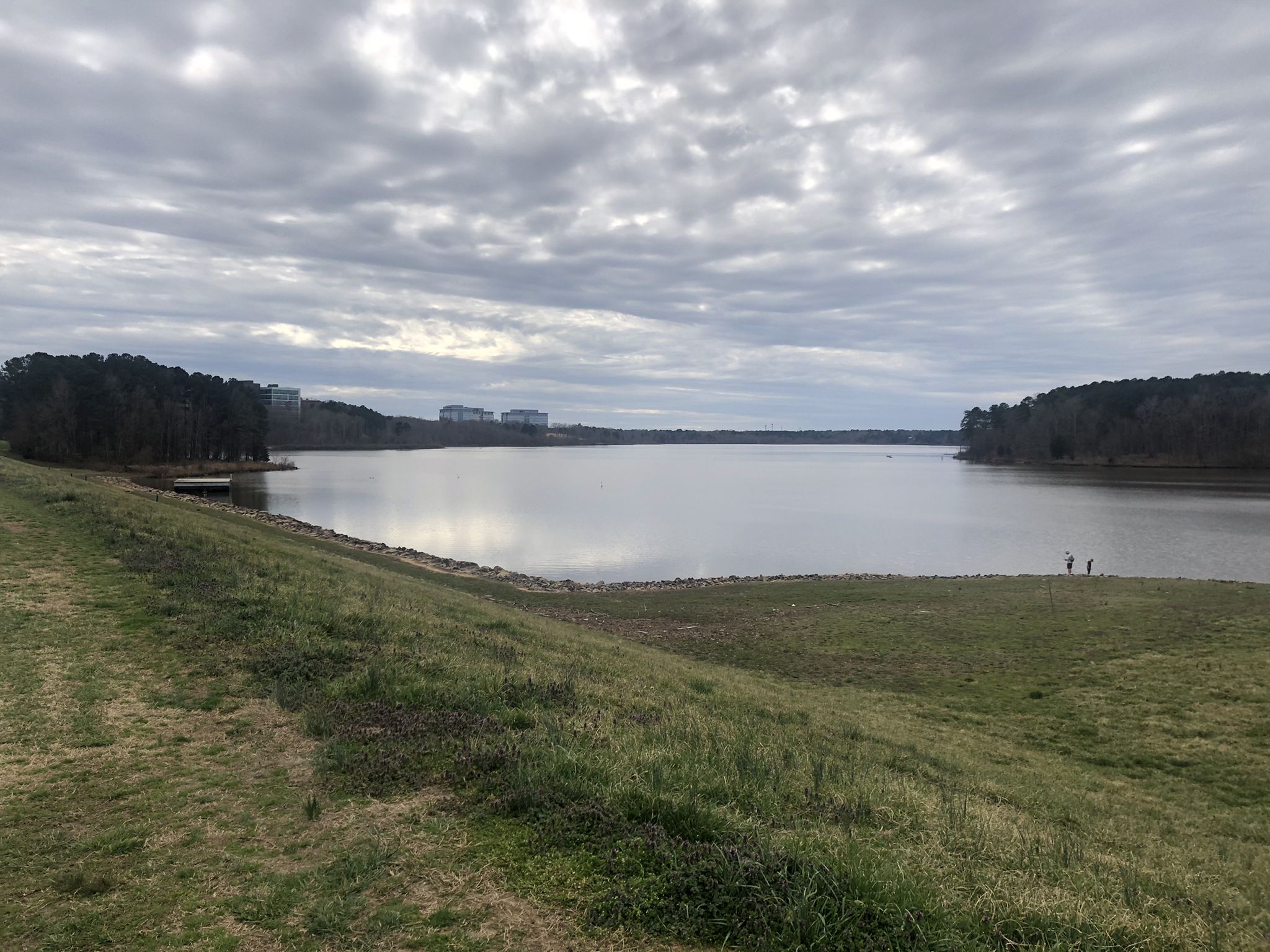 Wide view of a lake with forested shores under an overcast sky. - Lake Crabtree Loop Trail
