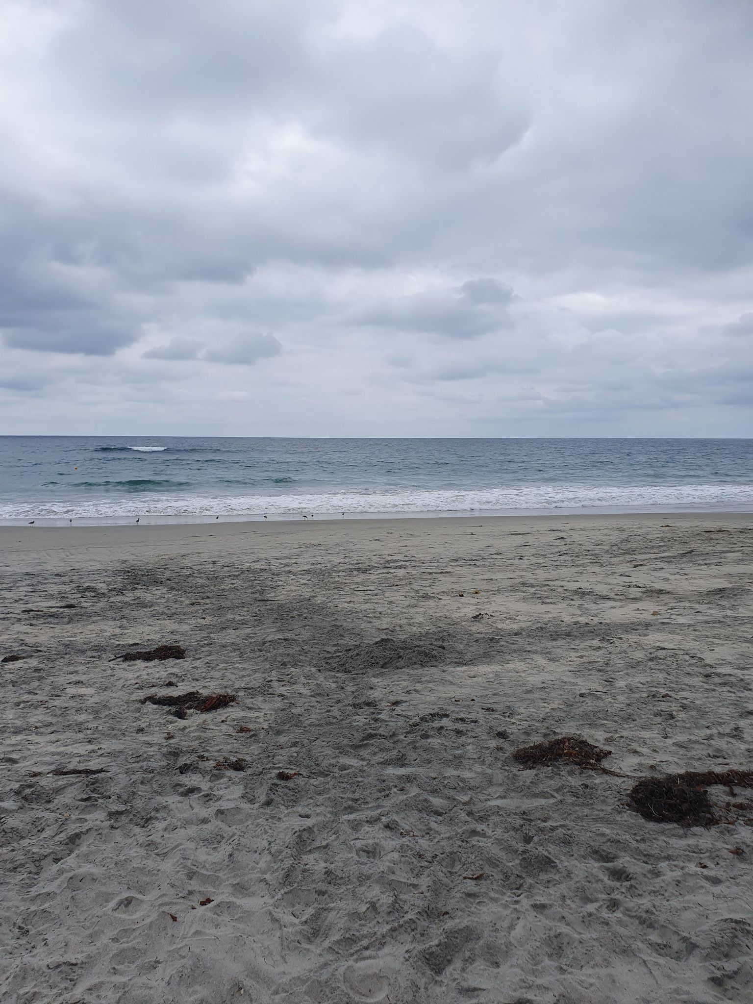 Wide sandy beach with gentle ocean waves under a cloudy sky. - Coastal Rail Trail
